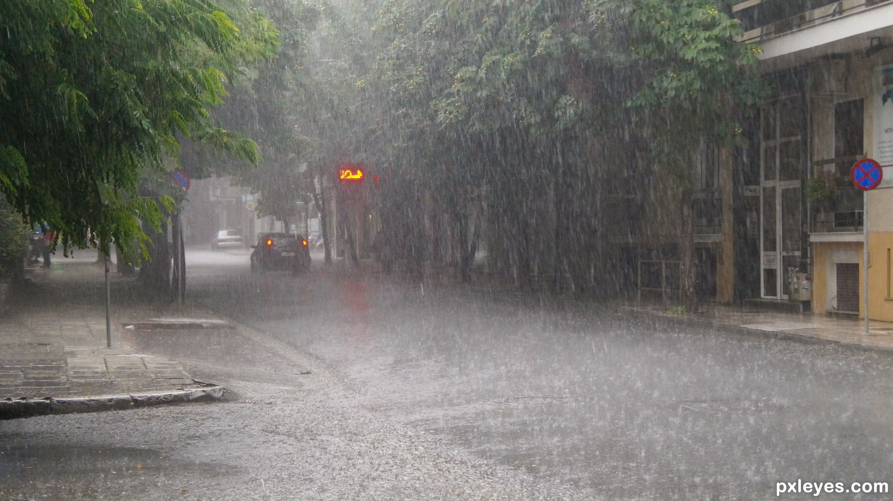 rainfall picture, by roon for: rainy weather photography contest ...