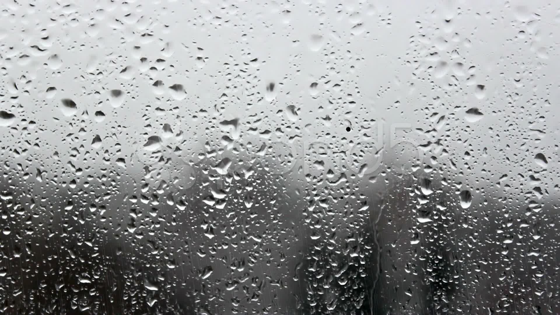 Rain drops in the window pane ~ Stock Video #13870580