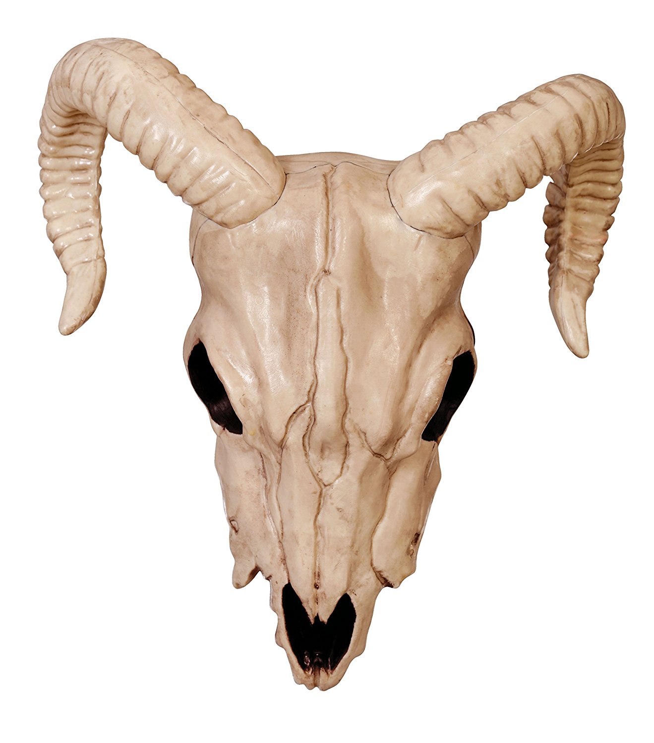 Fantasy Bone Skeleton Ram Skull Buck Animal Skeleton Bones for ...