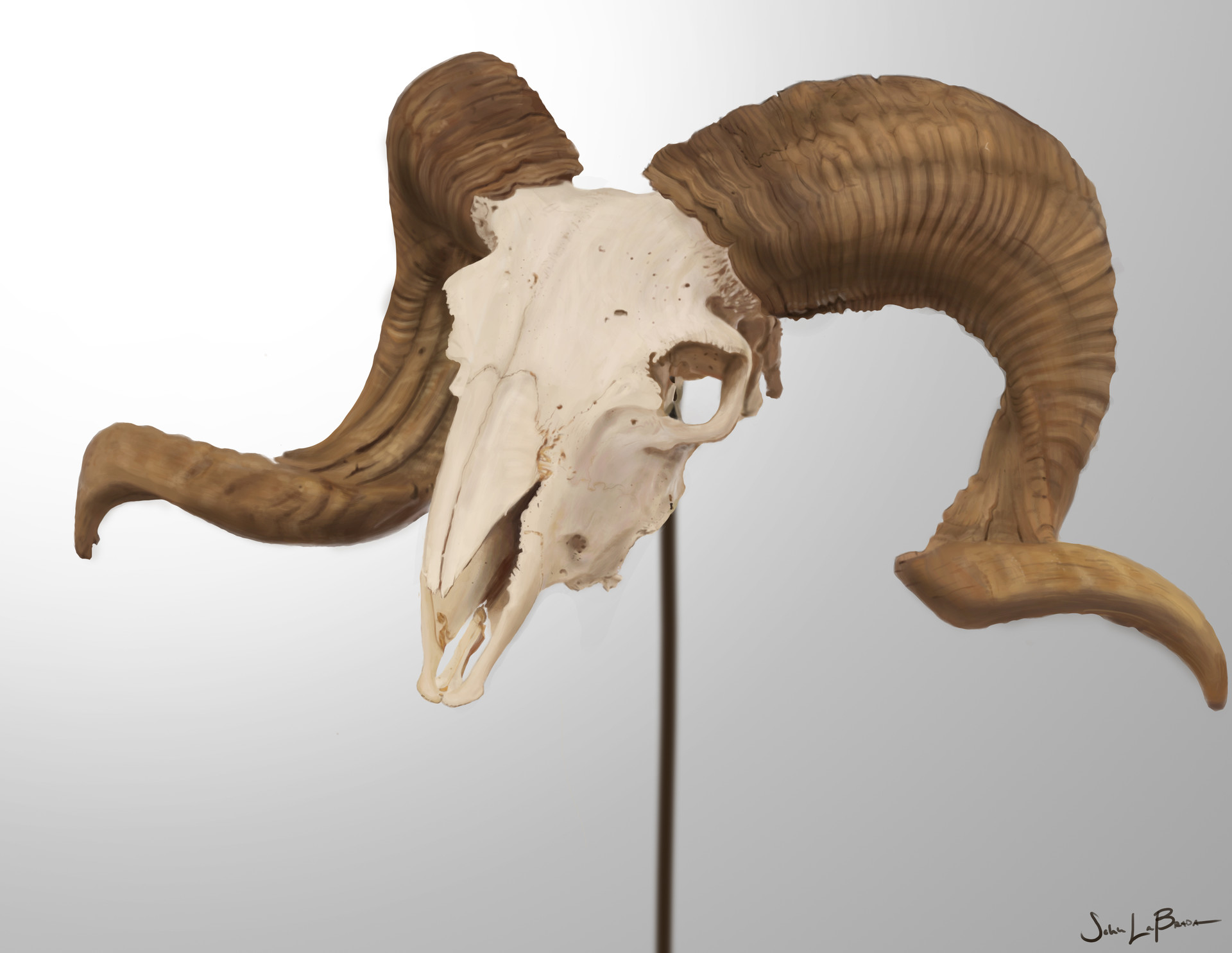 ArtStation - Photoshop Digital Painting - Ram Skull, John LaBrada