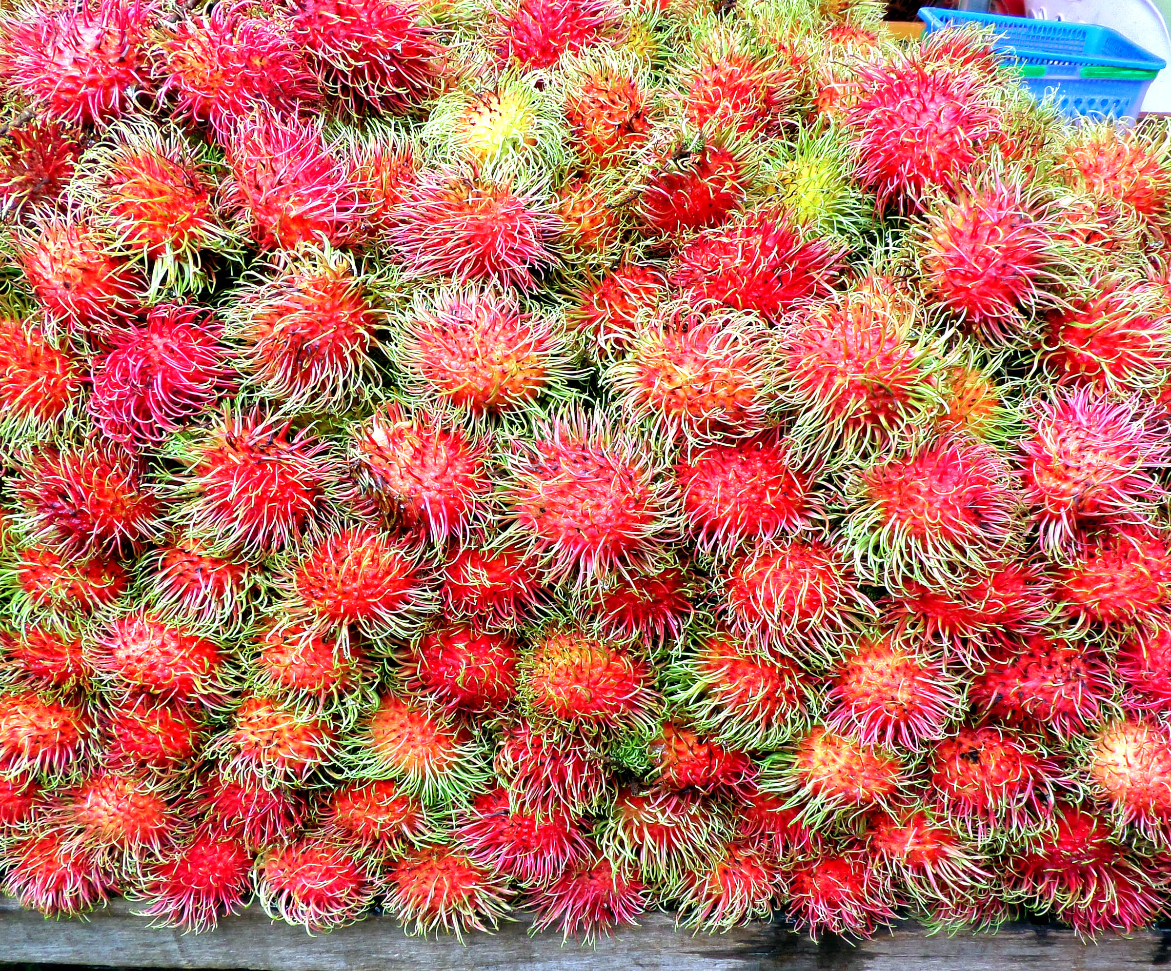 Rambutan fruit photo