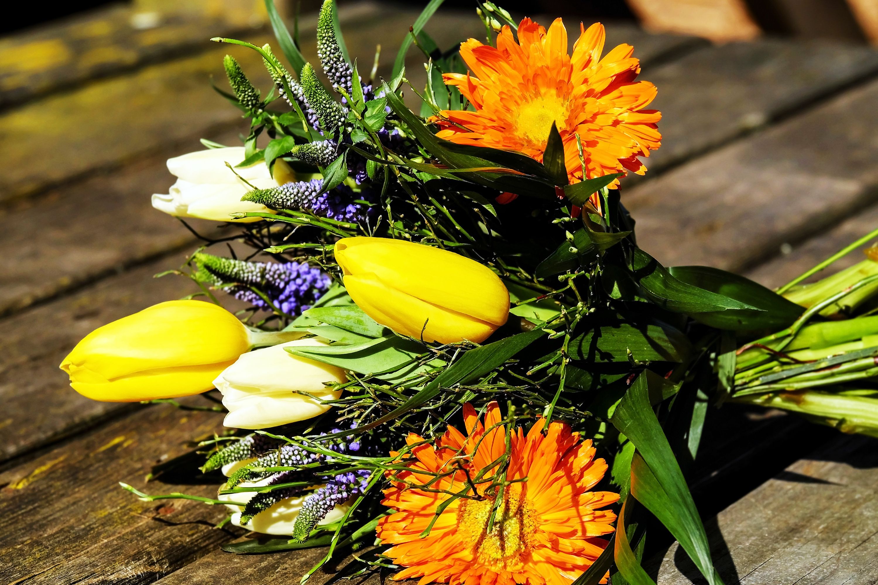 Pin by Flowers, Naturally! on Random Flowers | Pinterest | Flower ...
