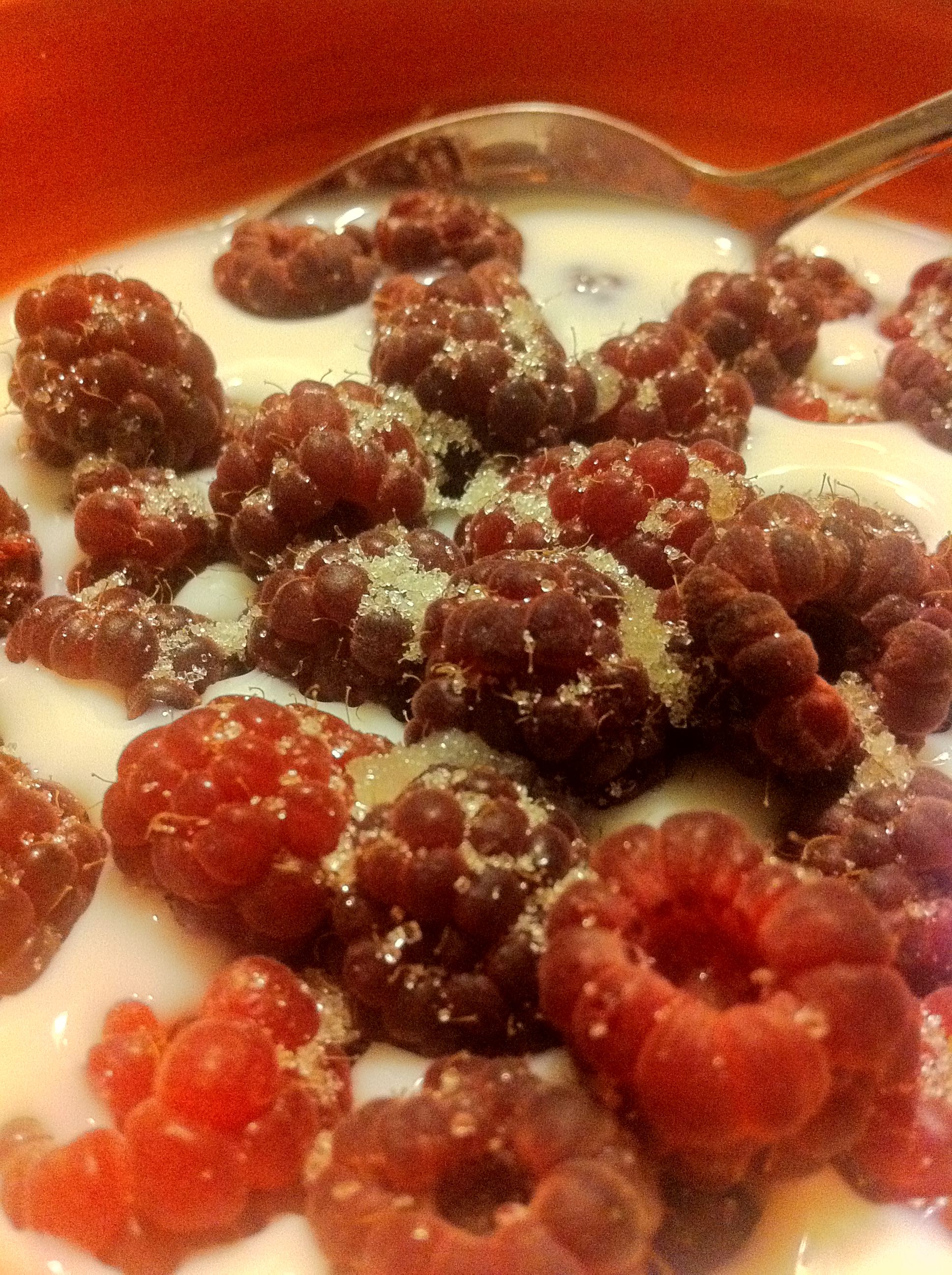 Raspberries, Milk, and Sugar Dessert Treat