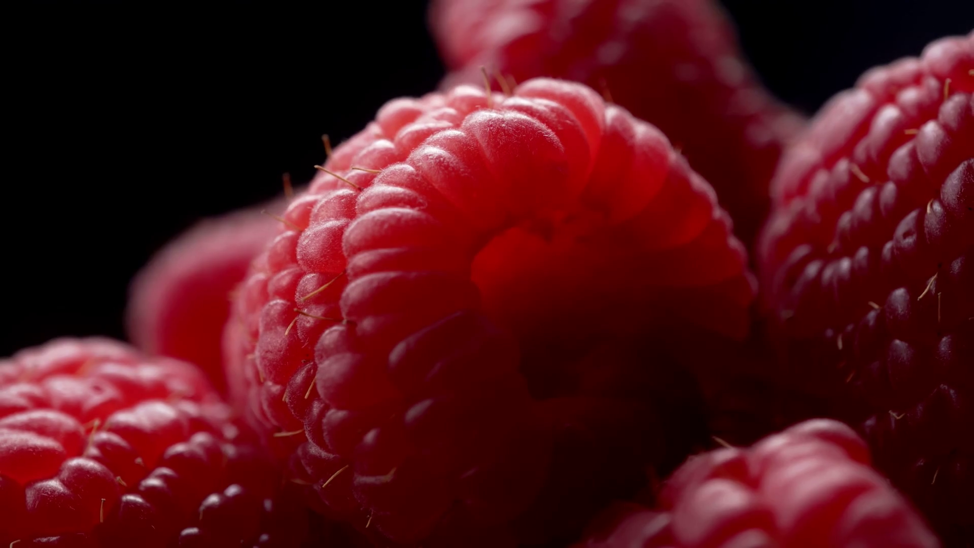 Raspberries in macro close up with a sliding camera move Stock Video ...