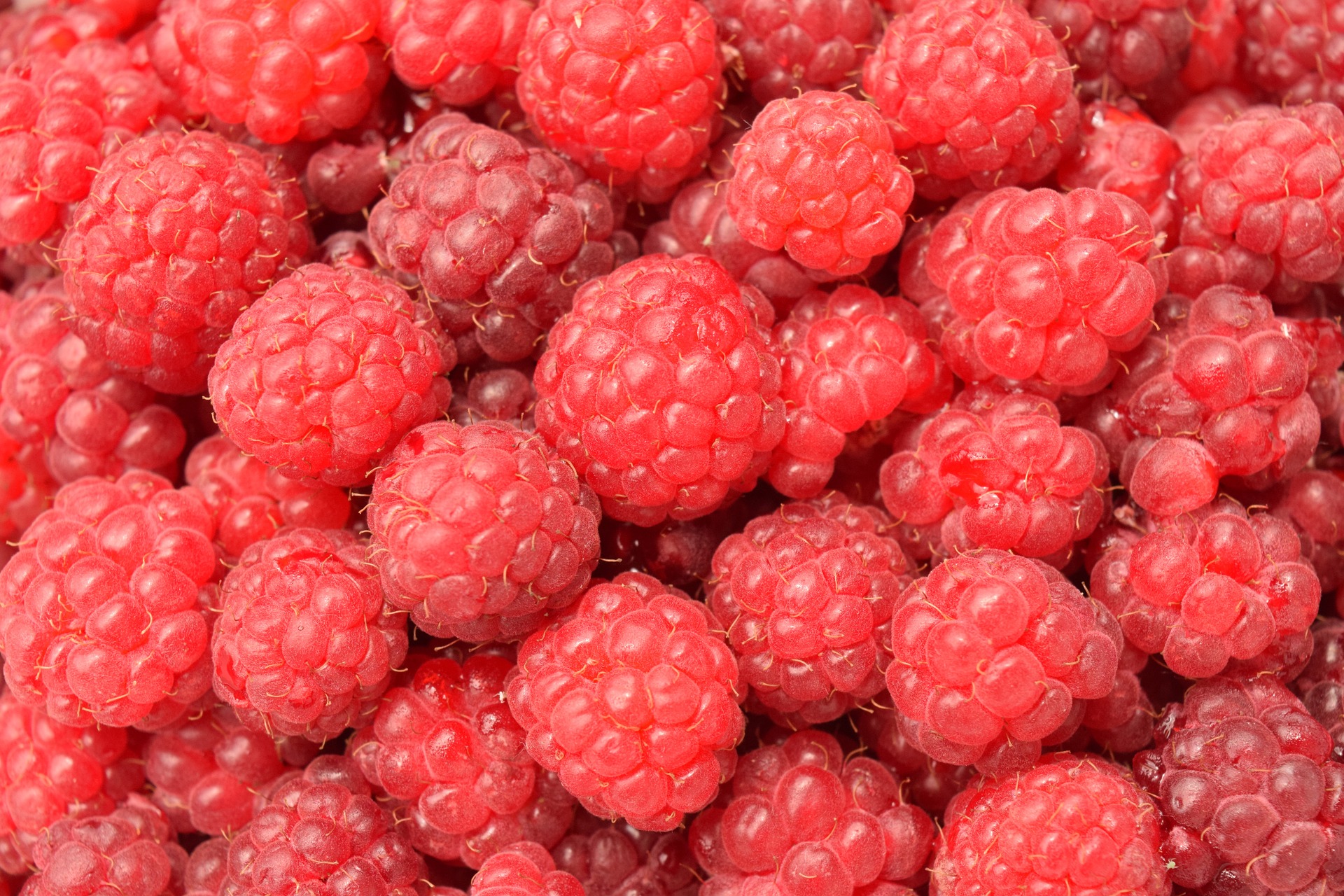 Raspberries: How to Plant, Grow, and Harvest Raspberries | The Old ...
