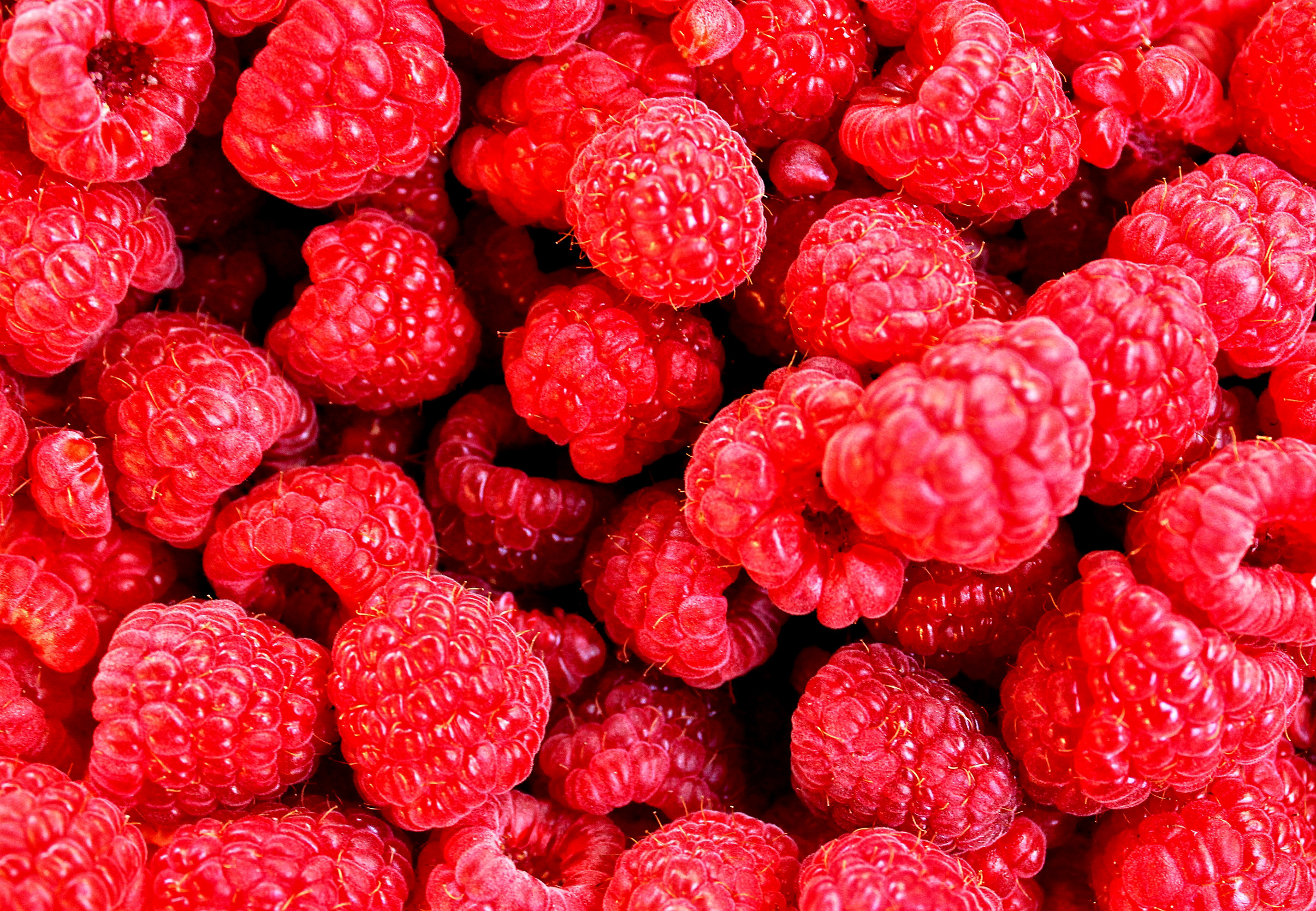Raspberries only, Antioxidants, Natural, Top, Table, HQ Photo