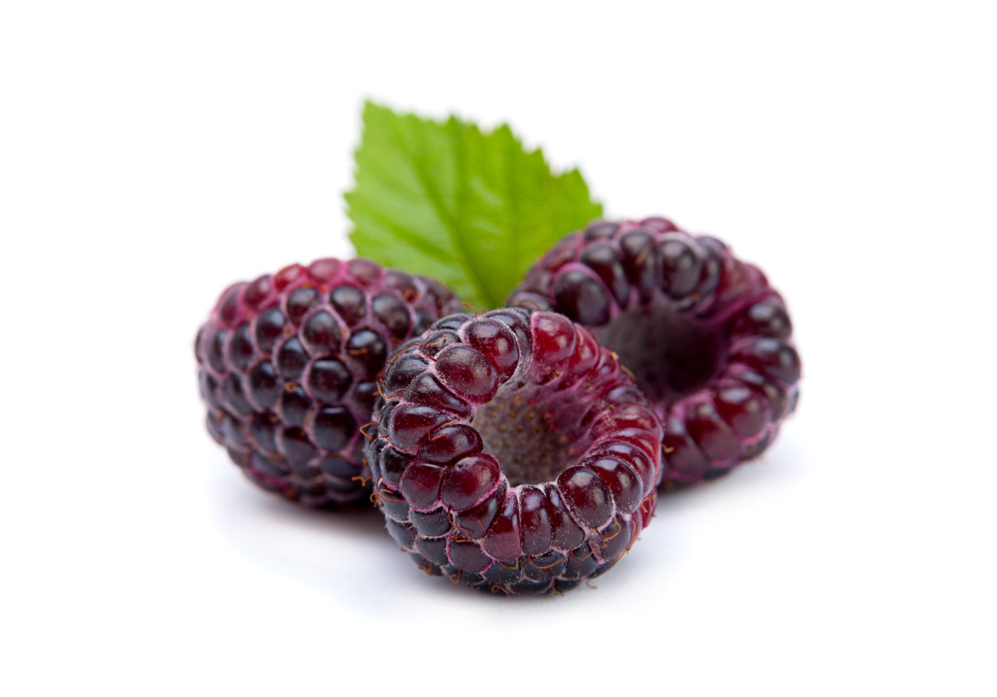 Black Raspberry & Vanilla Body Lotion – Real World New Zealand
