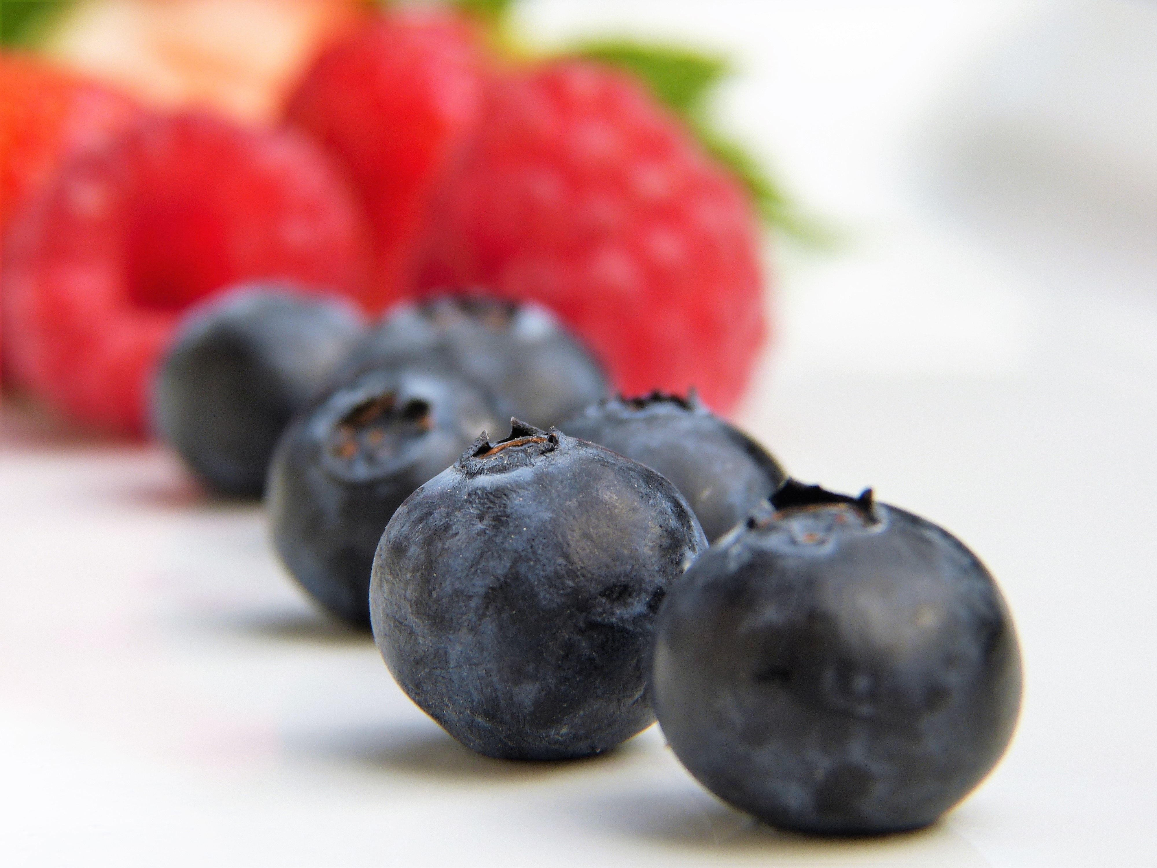 Free stock photo of berries, blueberries, blur