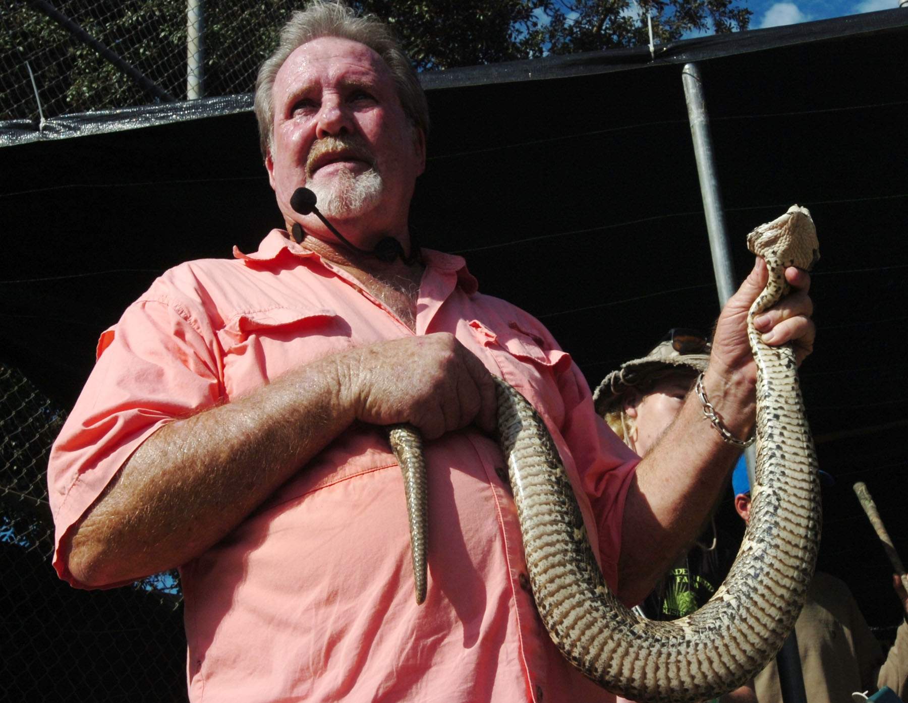 Snake handler making final appearance at Rattlesnake Festival | tbo.com