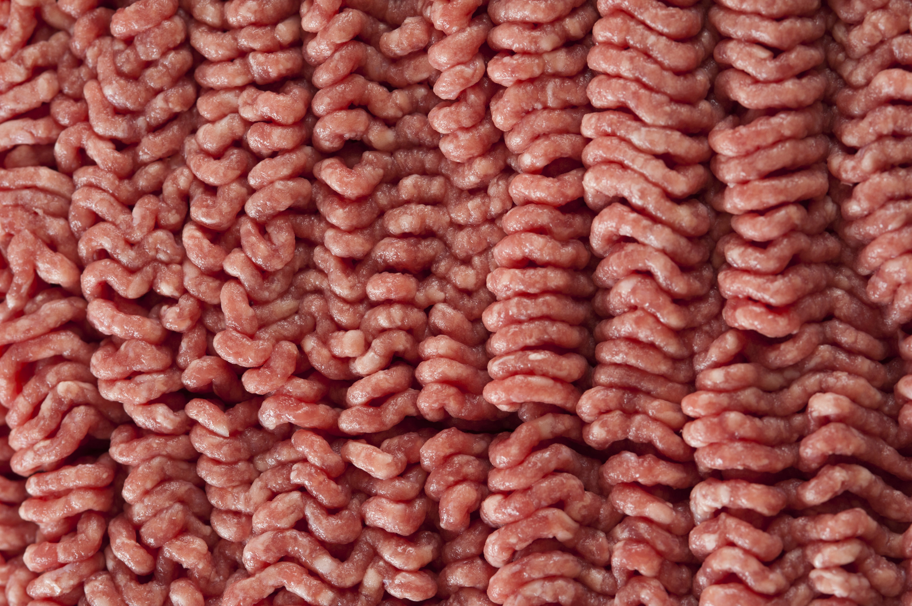 Minced meat-8004 | Stockarch Free Stock Photos