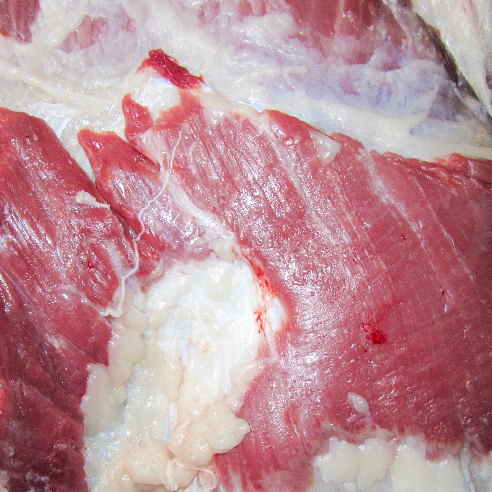 Raw Meat Texture Free Stock Photo - Public Domain Pictures