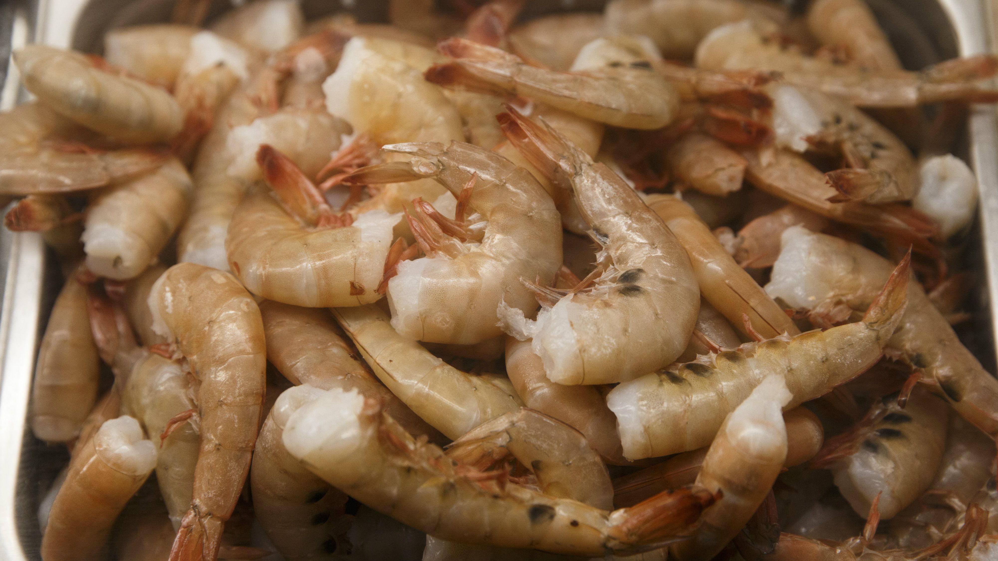Test finds 60% of raw shrimp tainted with bacteria, including ...