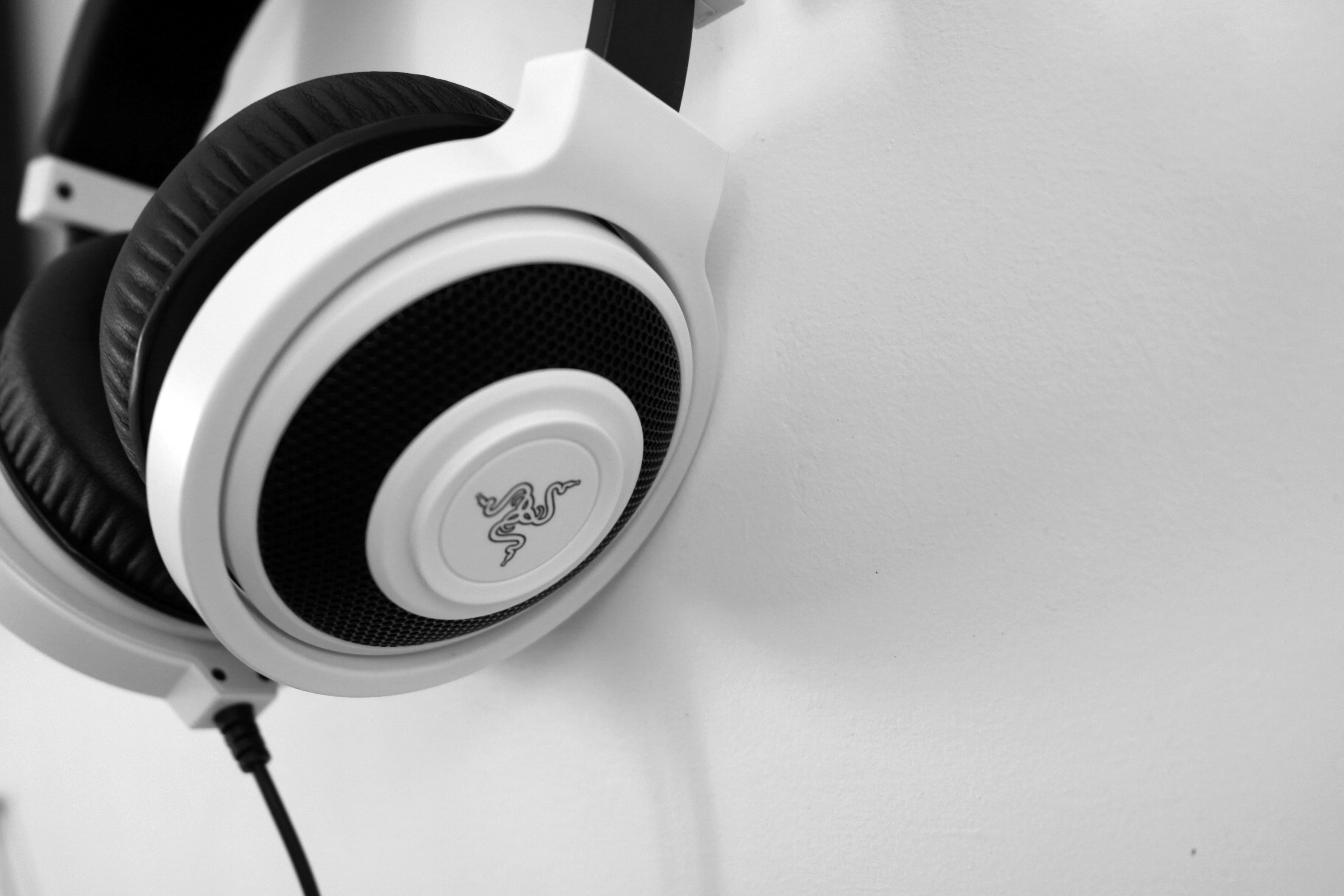 Razer white and black corded headphones photo