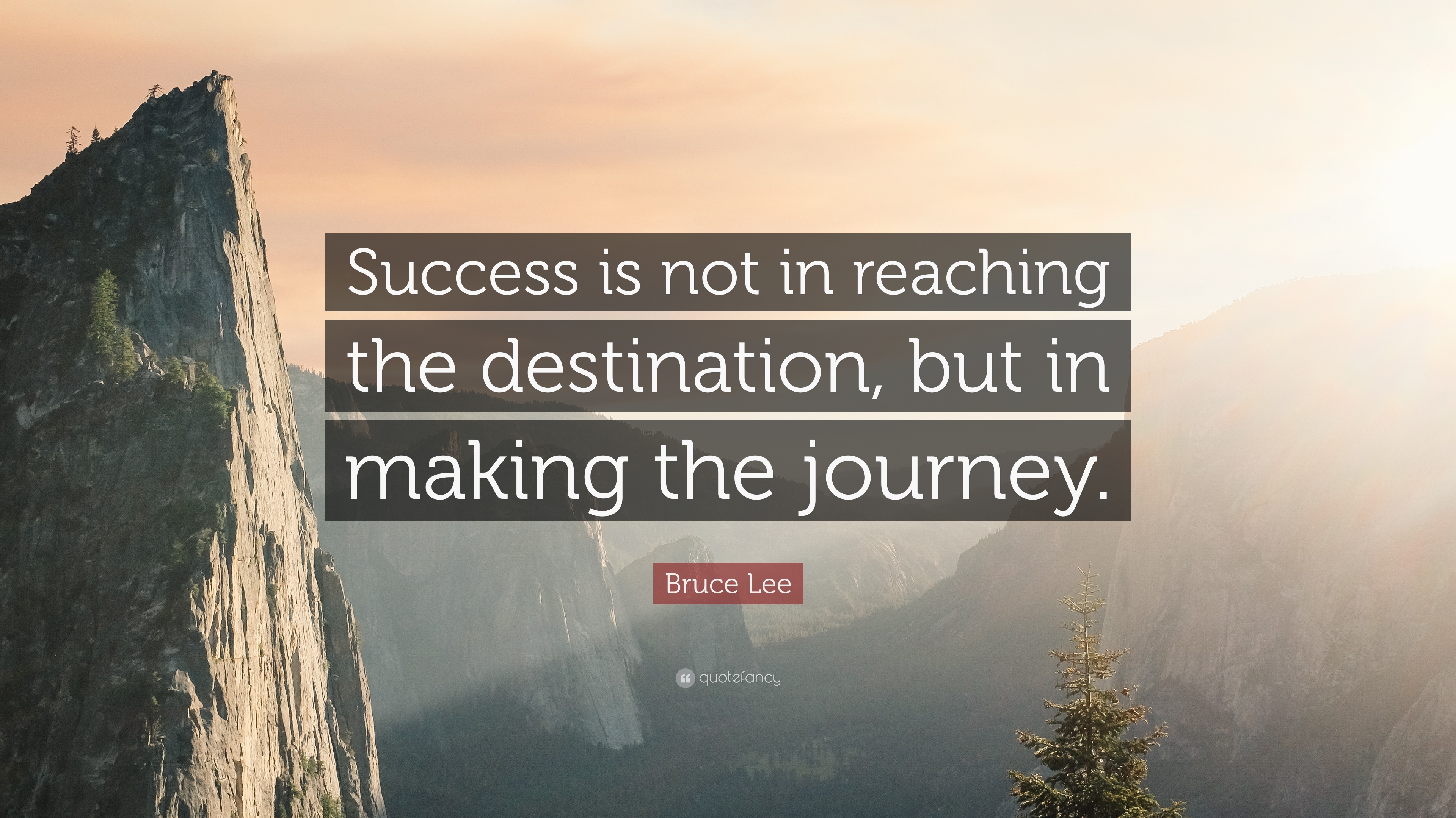 Bruce Lee Quote: “Success is not in reaching the destination, but in ...