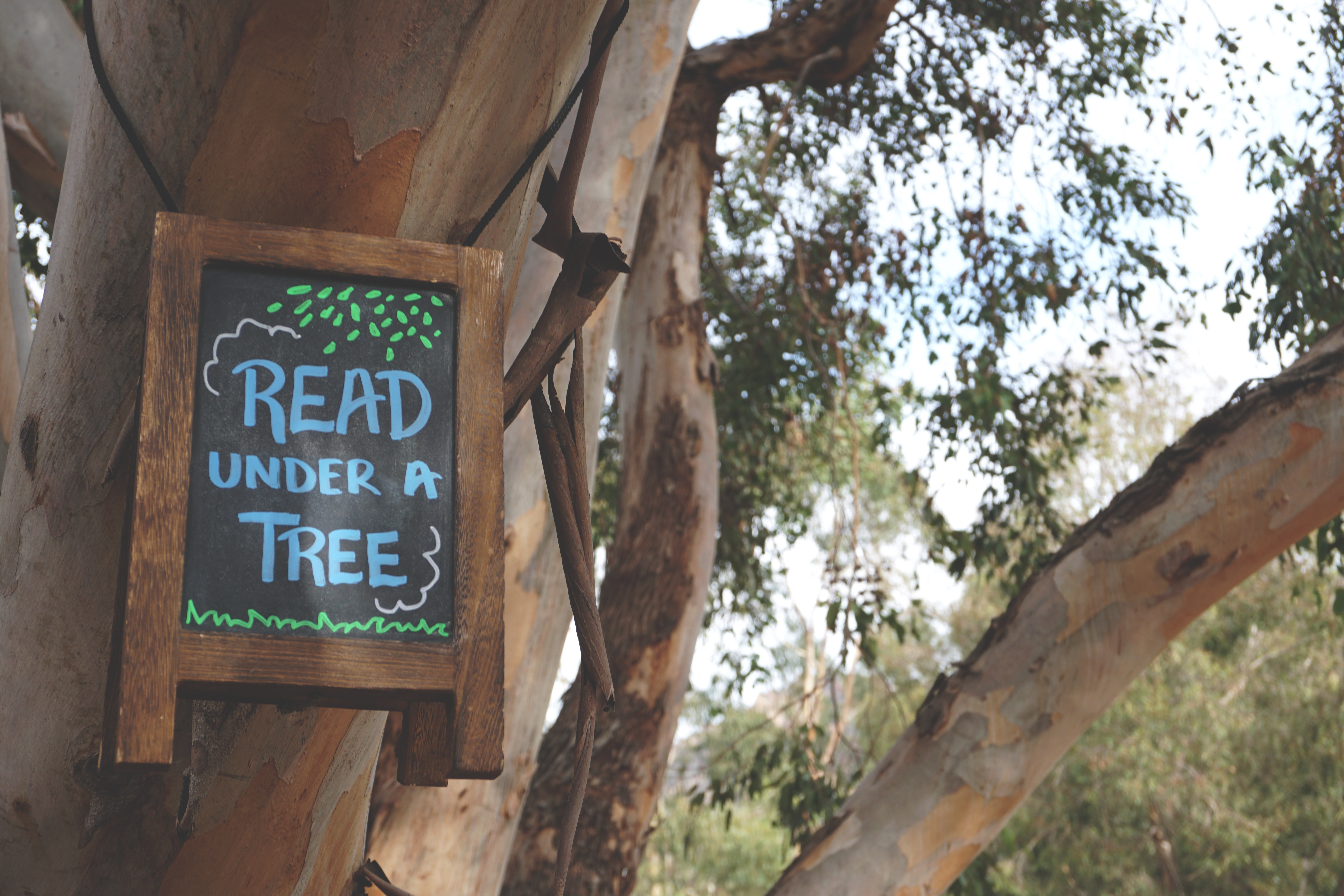 Read under a tree signage hanging on branch tree photo