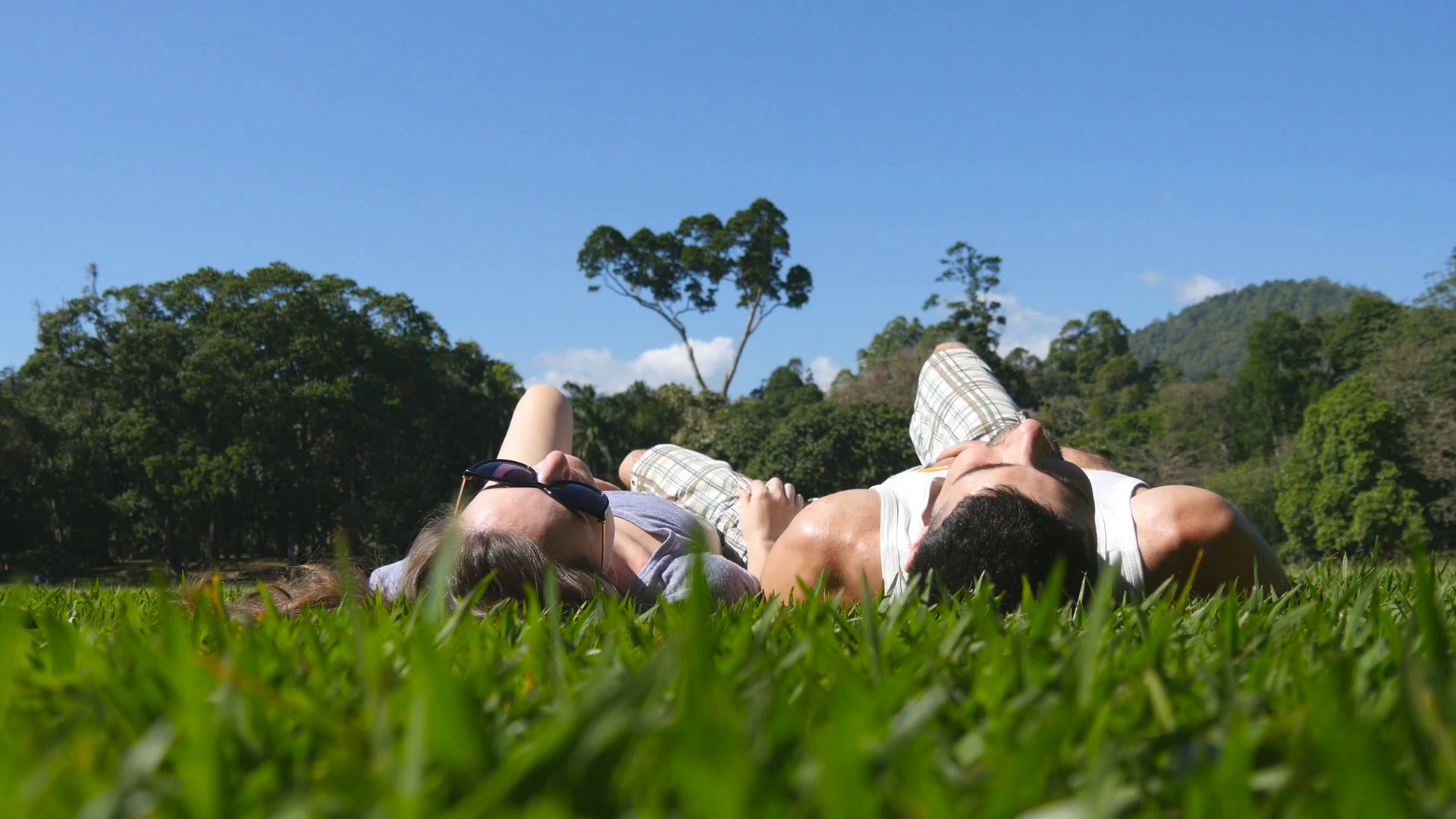 Young couple lying on green grass in park and relaxing. Man and ...