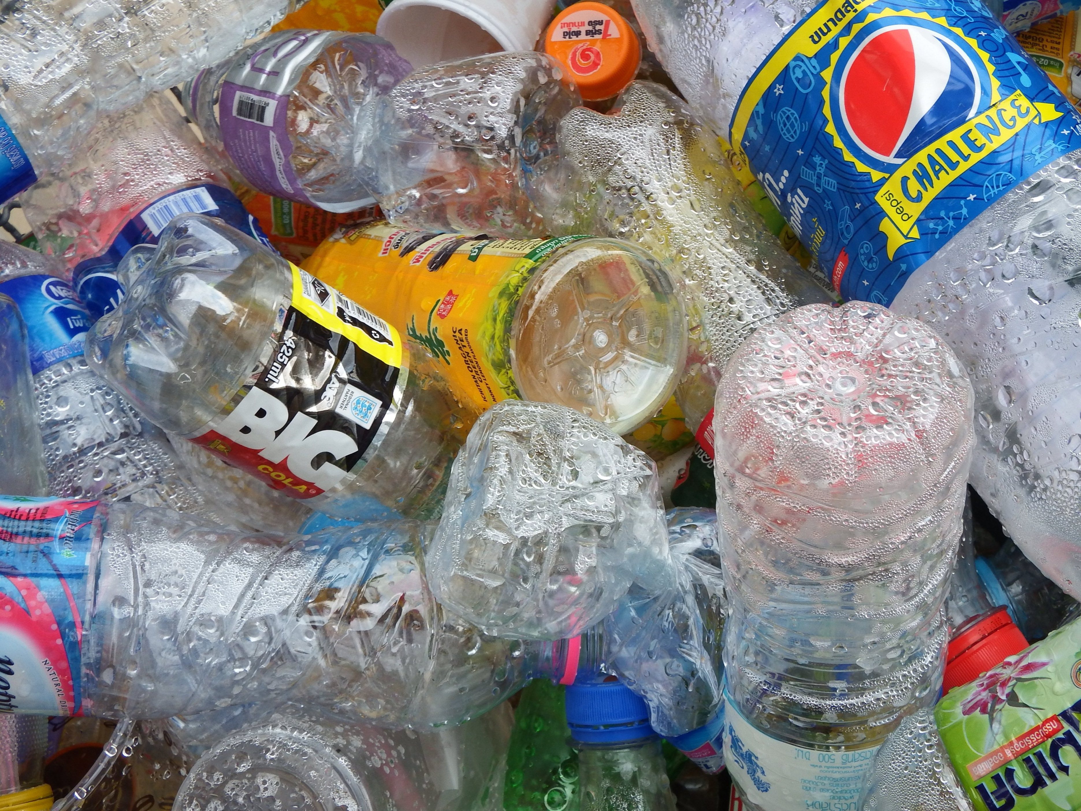Recycled Plastic Bottles, Bin, Bottle, Bottles, Drink, HQ Photo