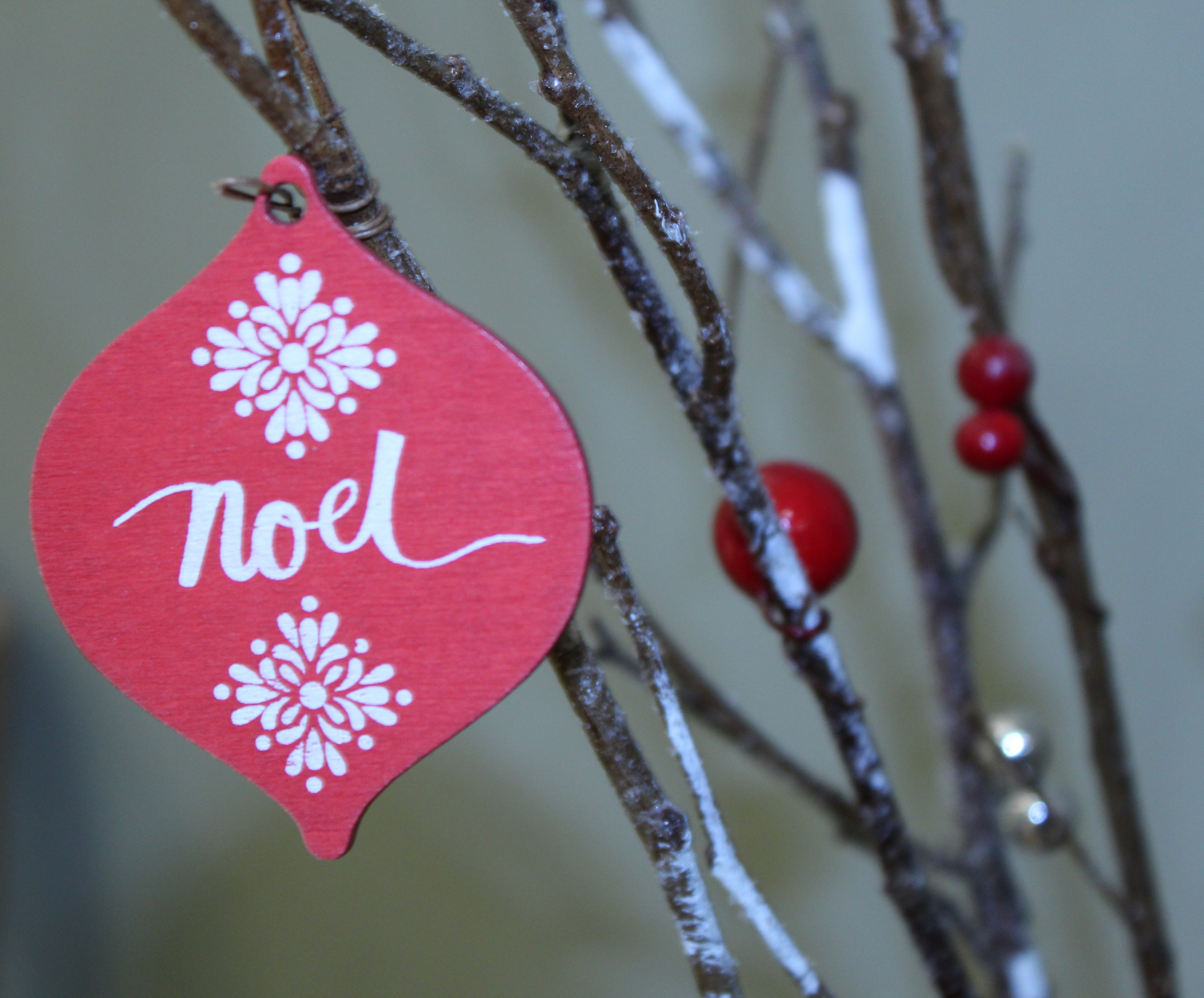 Red and White Noel Print Decor, Branches, Close-up, Colors, Design, HQ Photo