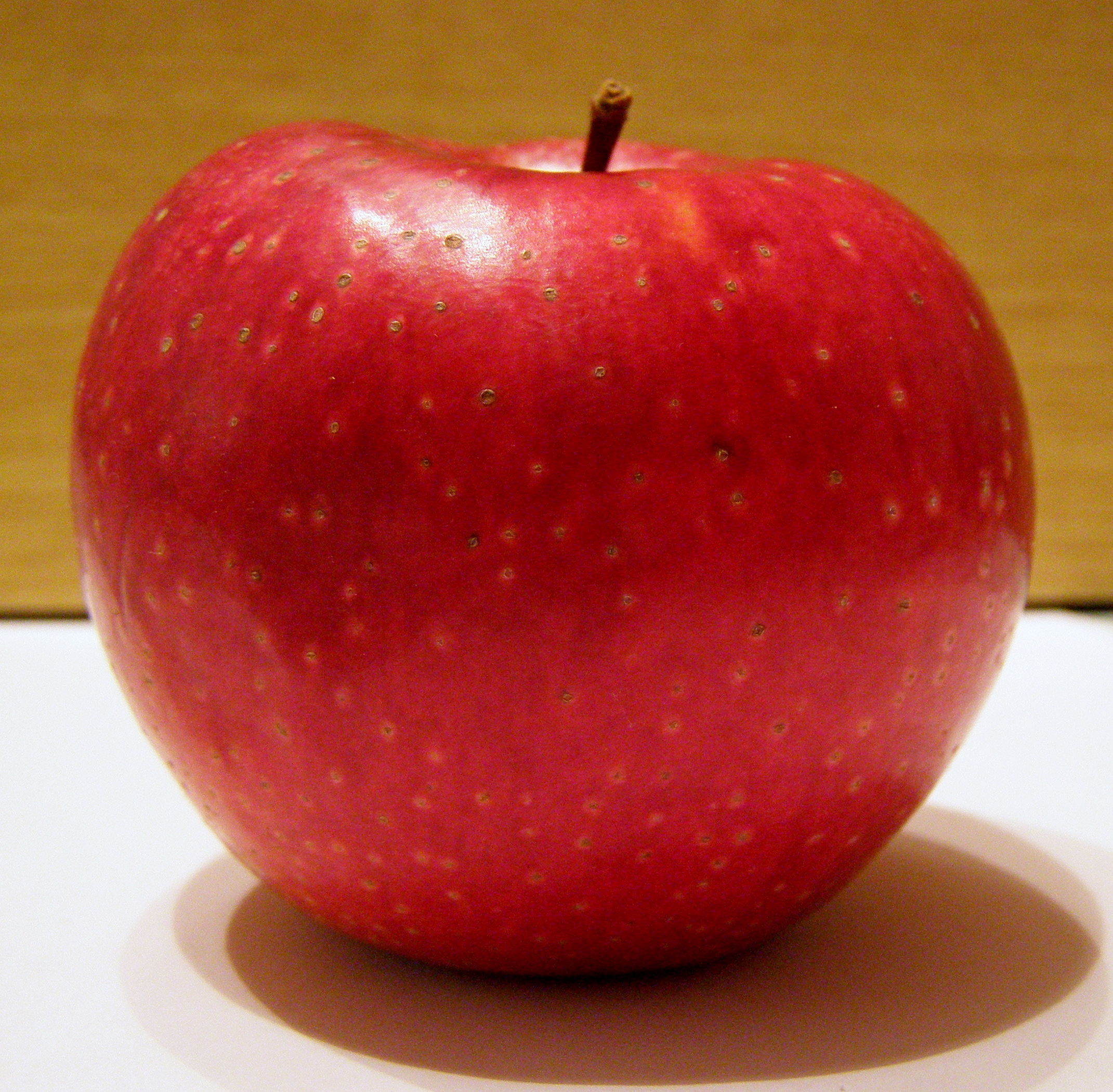 Самое красивое вкусное большое красное яблоко