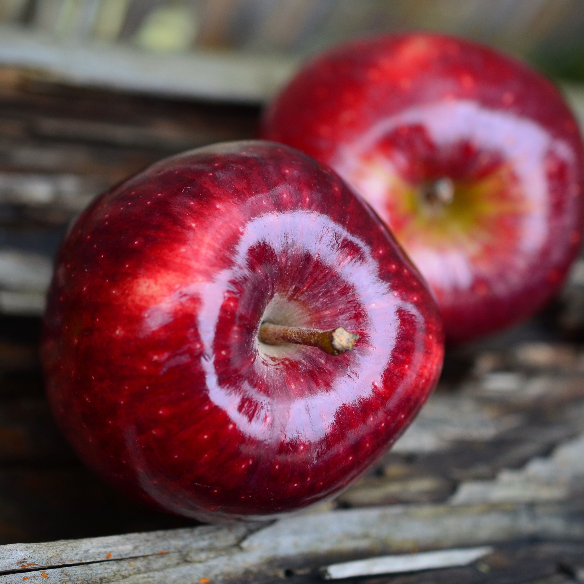All Natural Aged Red Apple Balsamic Vinegar Condimento - Staunton ...