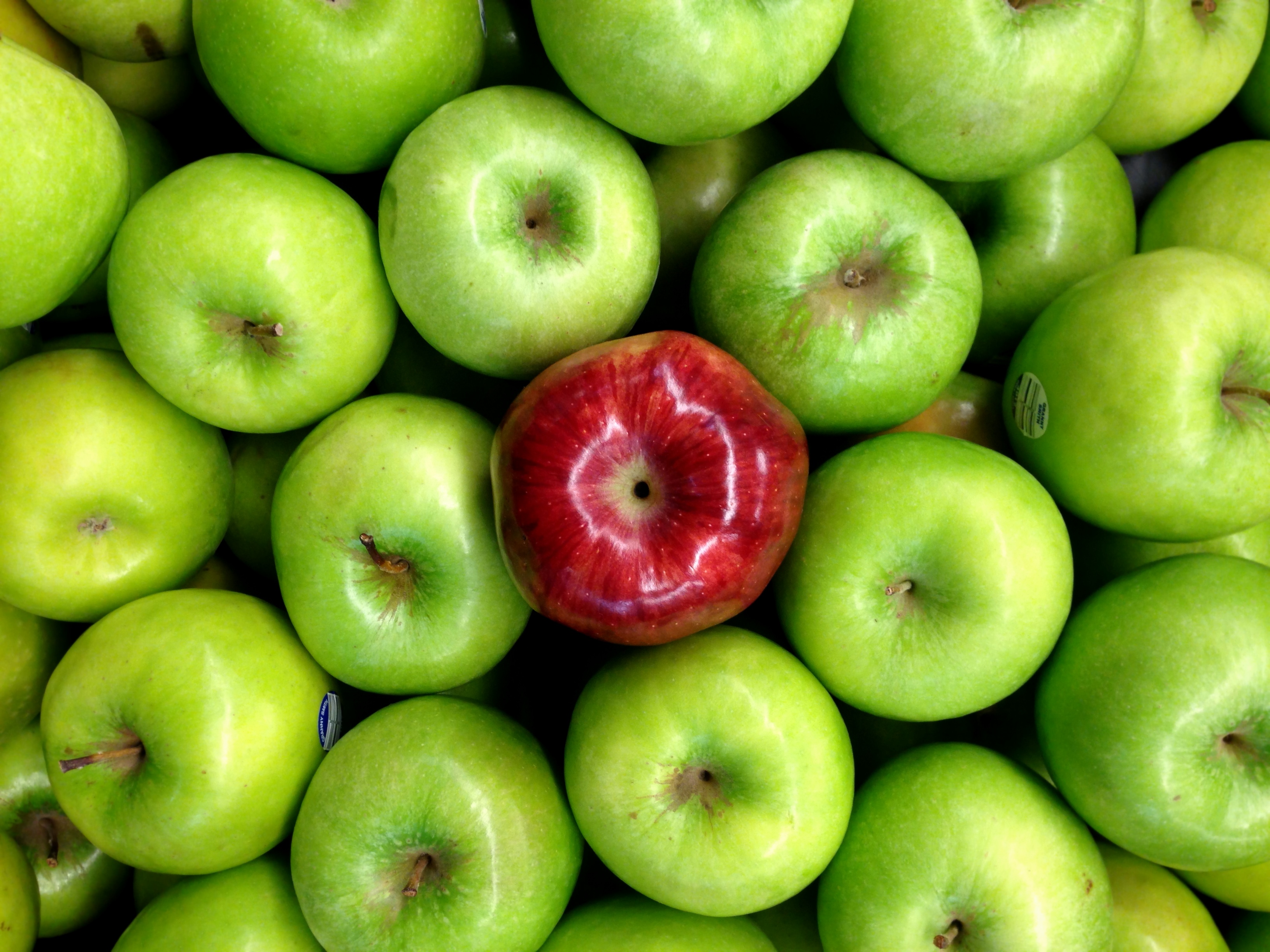 Red apple, Apple, Healthy, Years, Wellness, HQ Photo