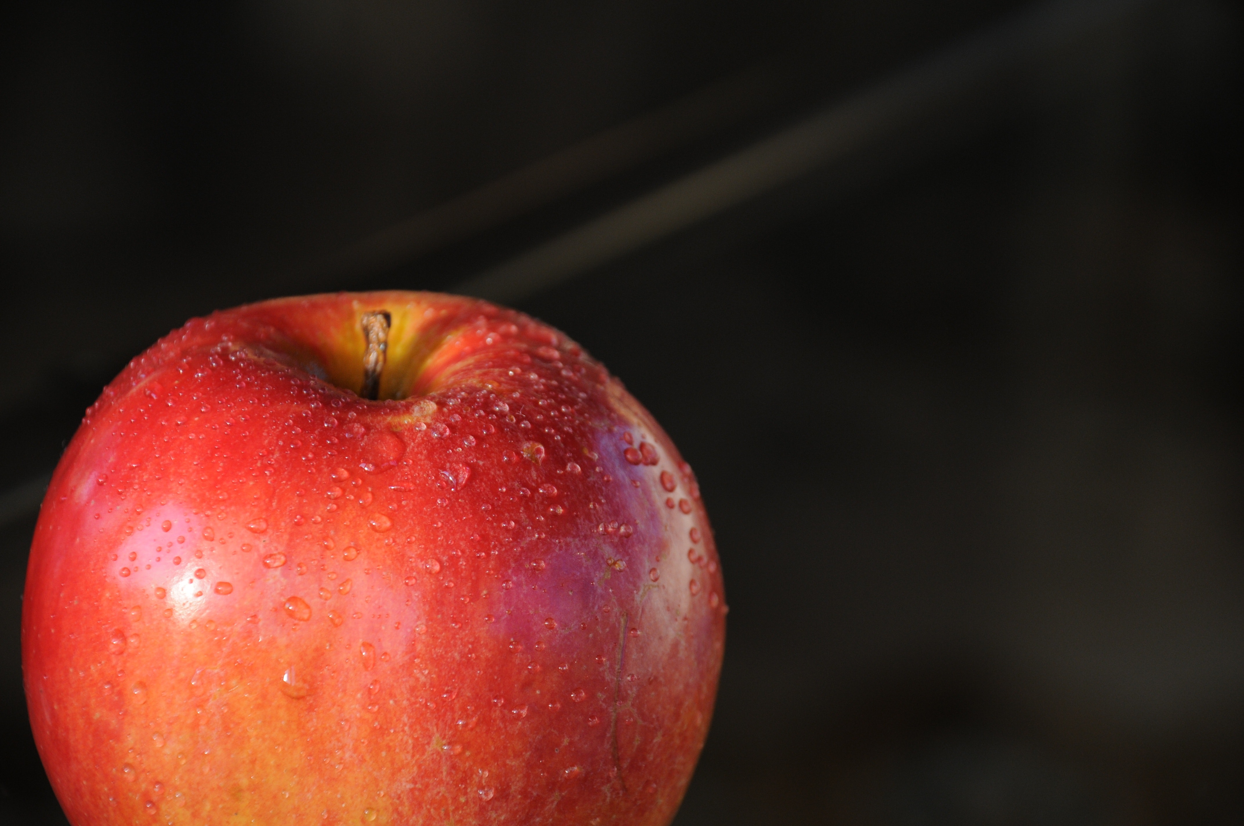 Red apple with water droplets photo