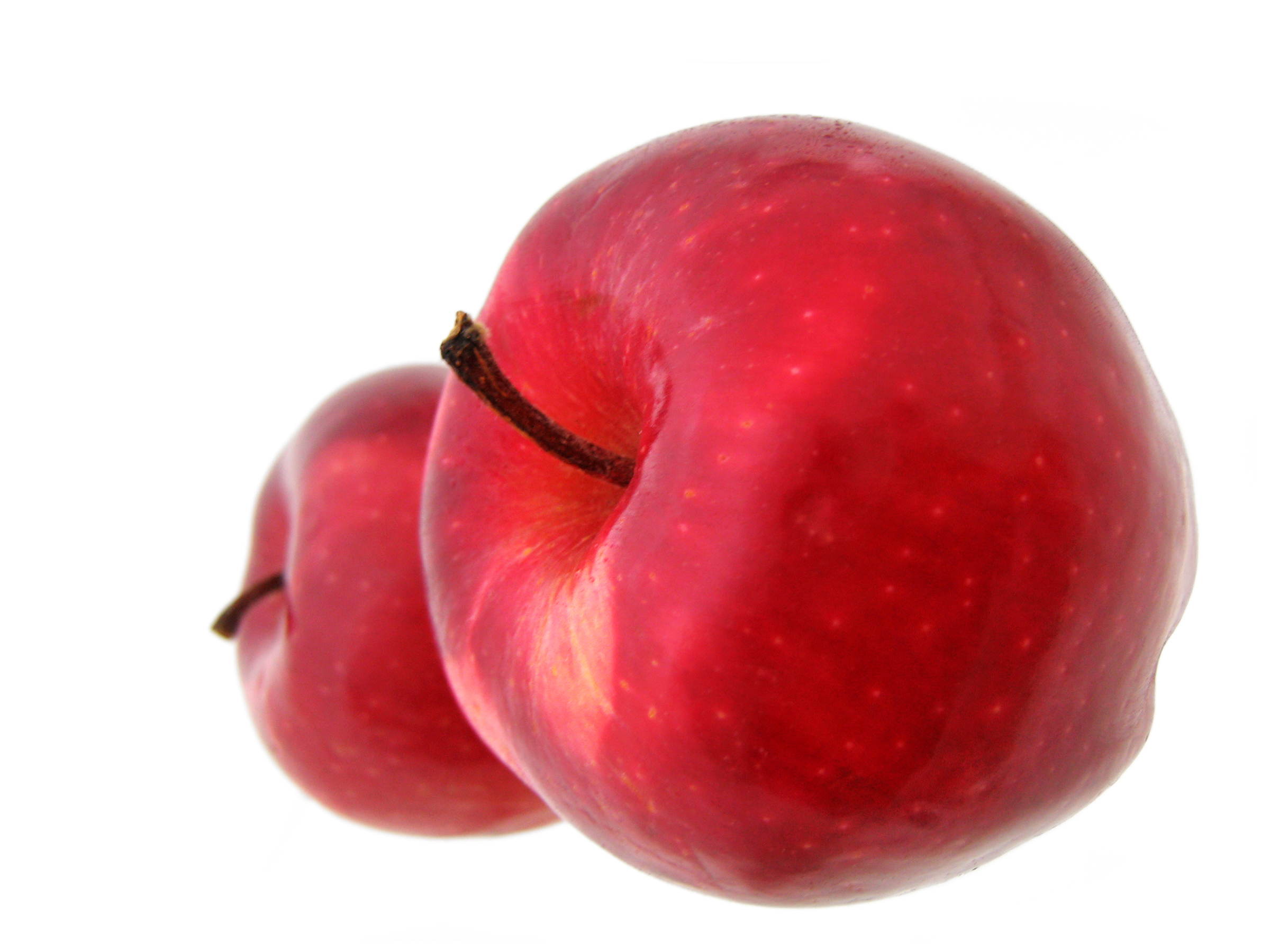 Red apples photo