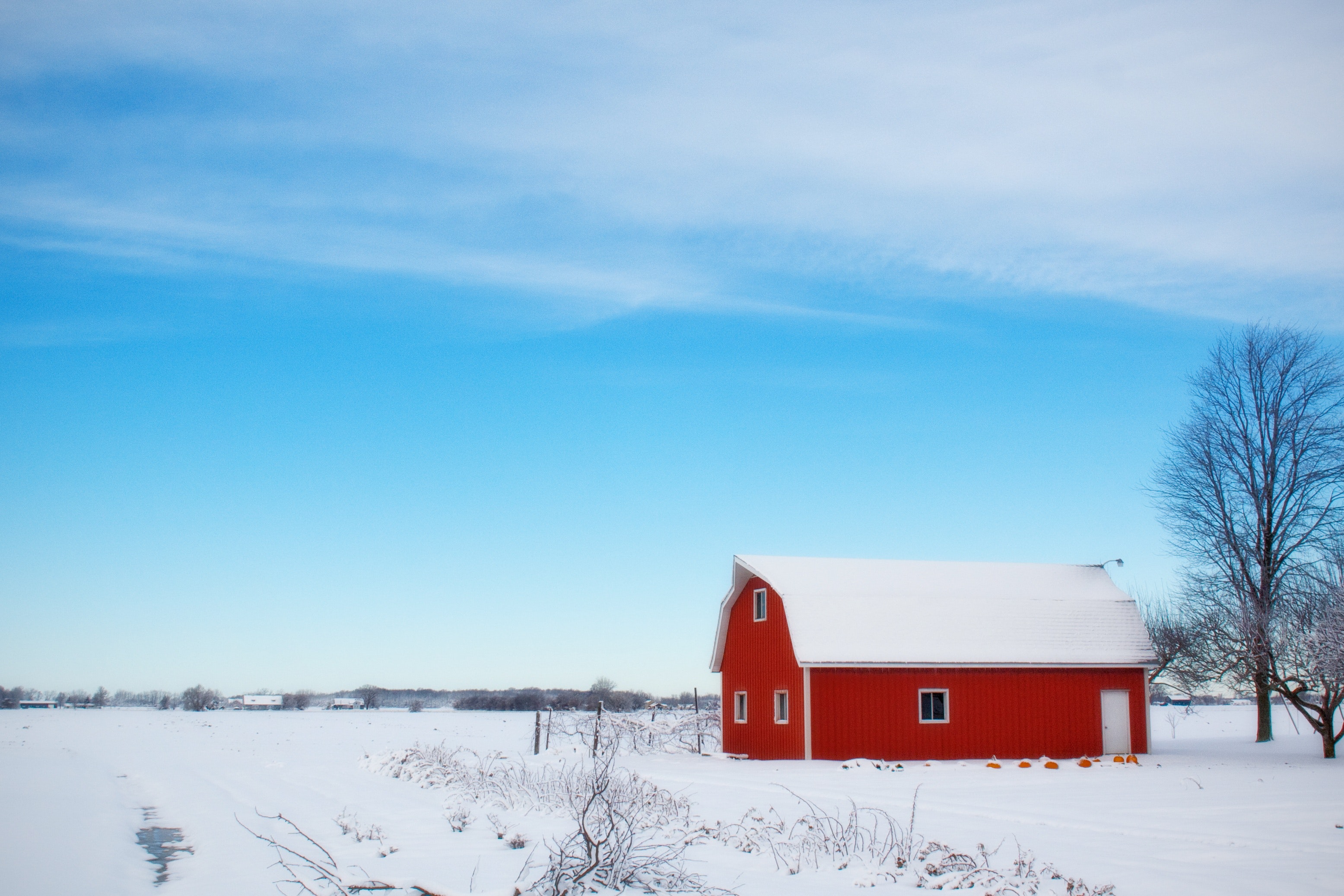 Red barn house in the middle of snow field during daytime photo