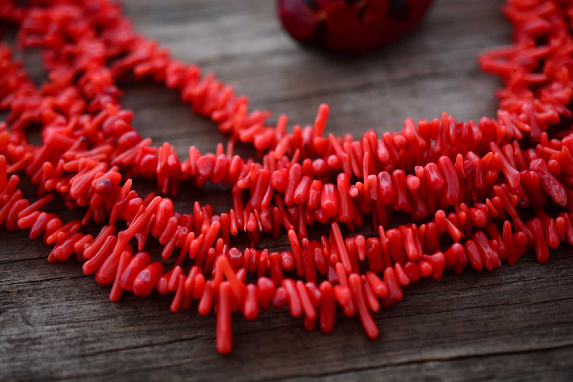 Red Spiky Coral Beads, grade A, 16