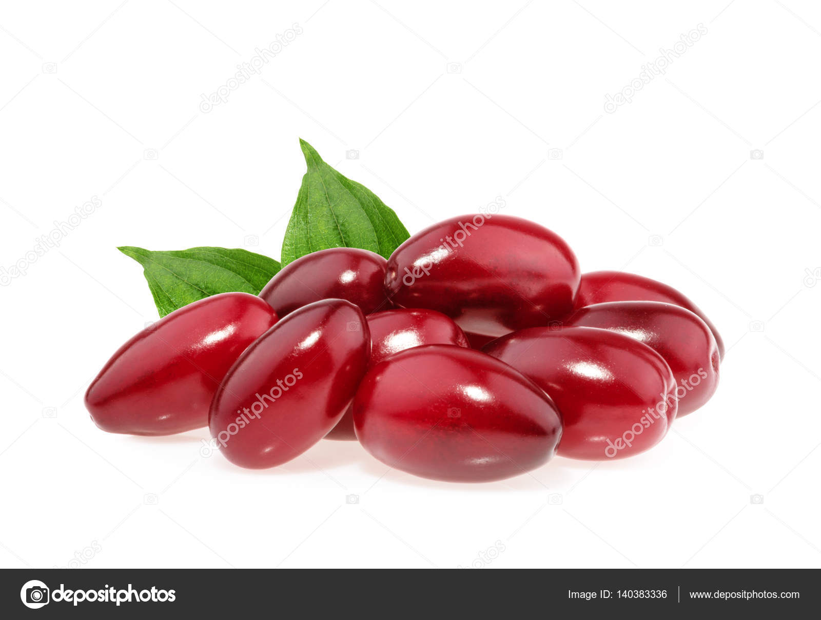Red berries of cornel or dogwood isolated — Stock Photo ...