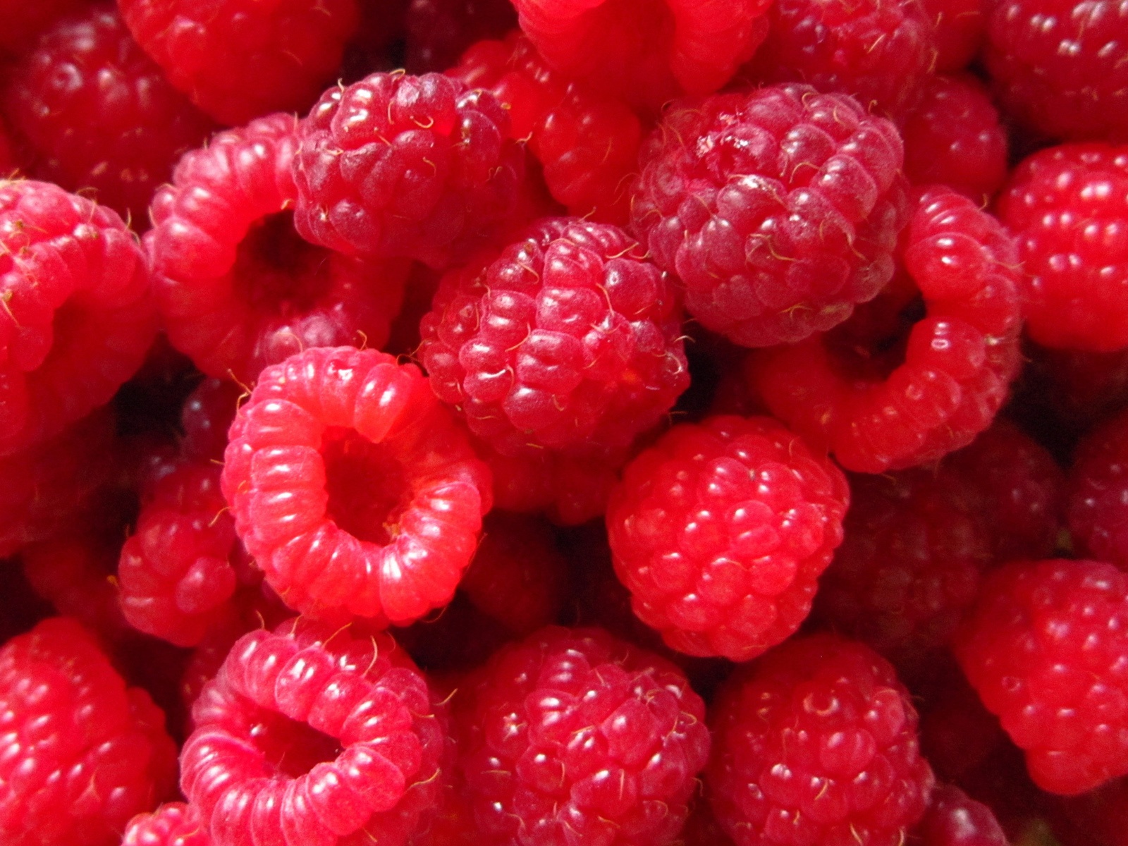 Wallpaper Red Raspberry berries, close-up photography 1920x1200 HD ...