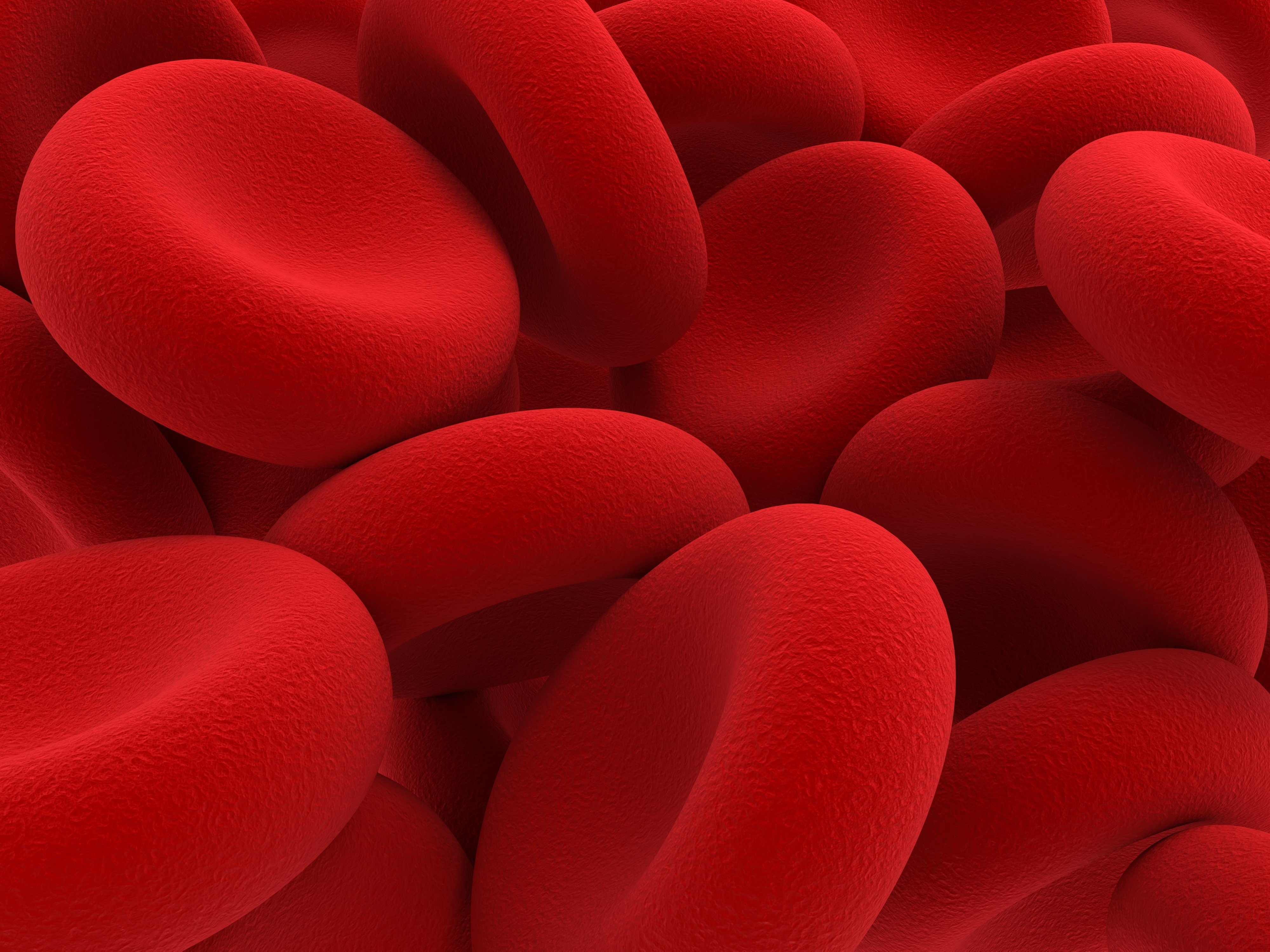 Cargo-carrying Red Blood Cells Alleviate Autoimmune Diseases in Mice