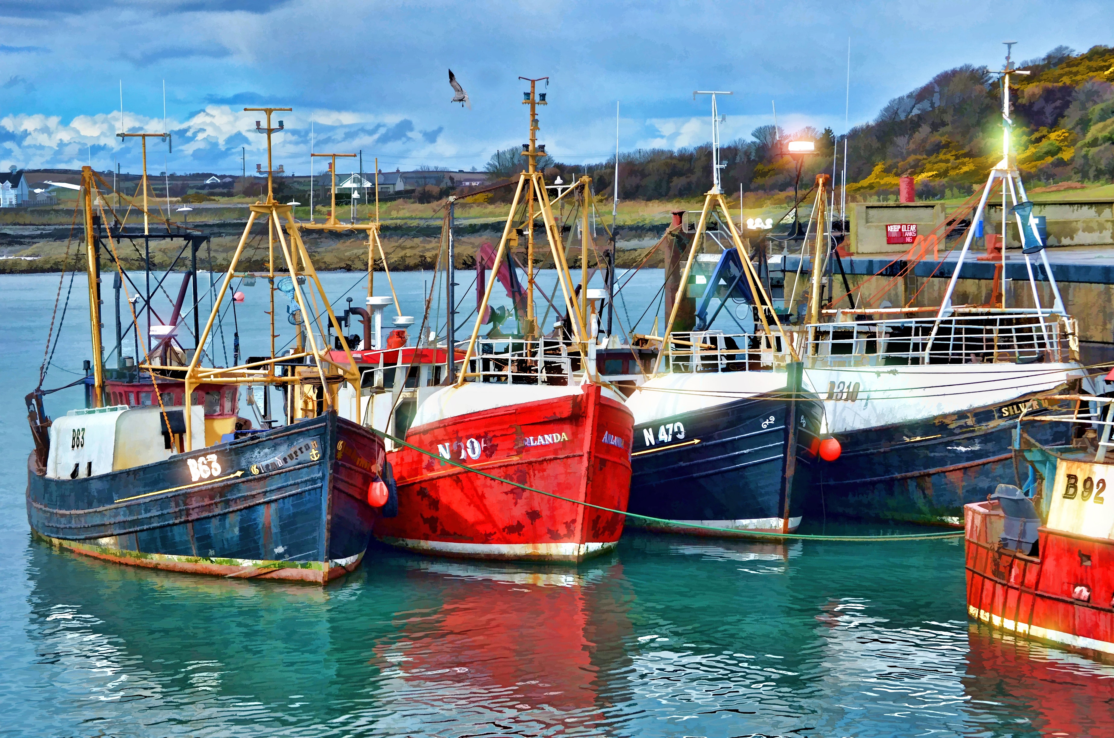 Red blue and white fishing boats on dock during daytime photo