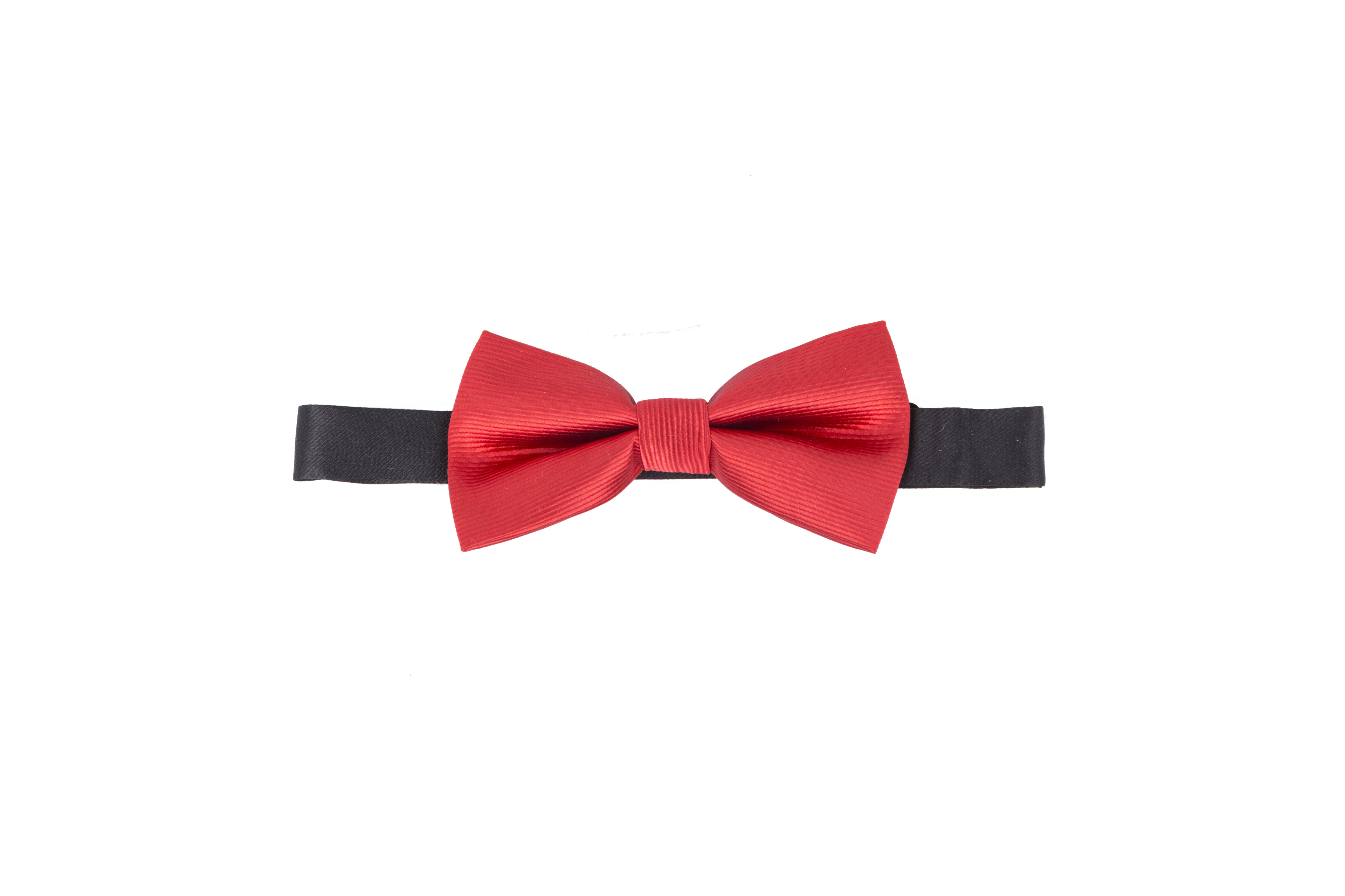 Red bow photo