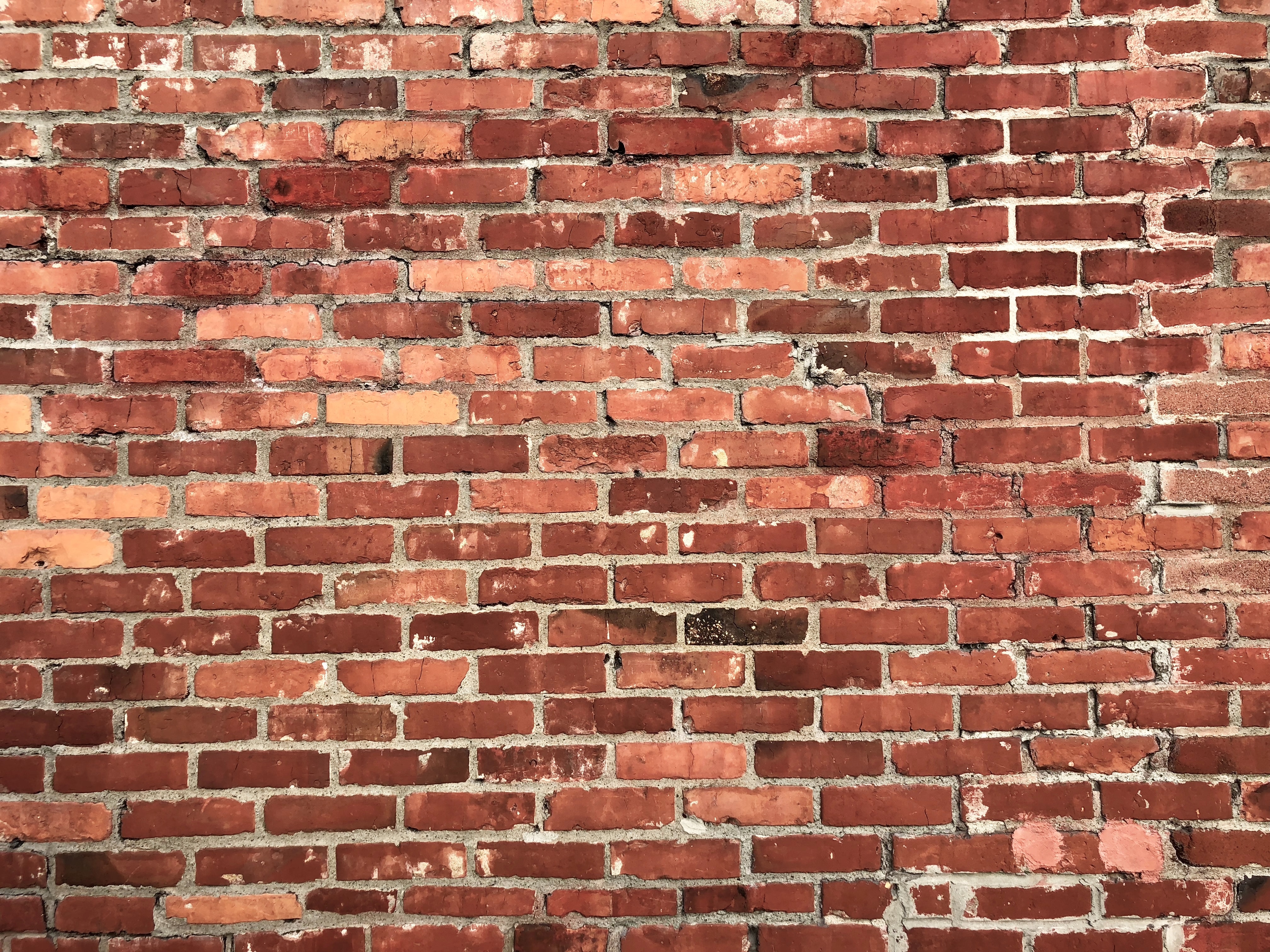 Free stock photo of brick, brick wall, red bricks