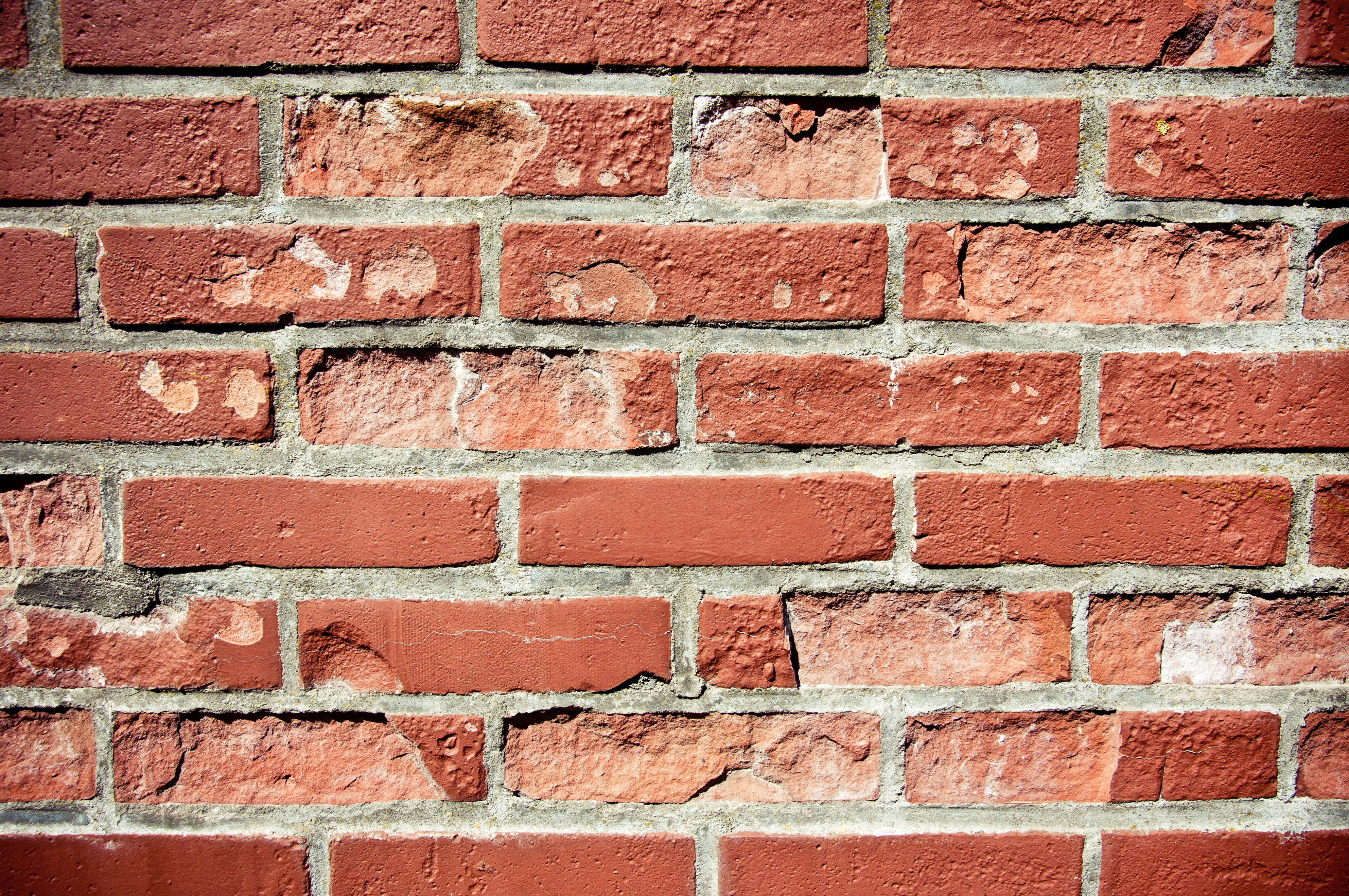 Red bricks brick wall texture photo