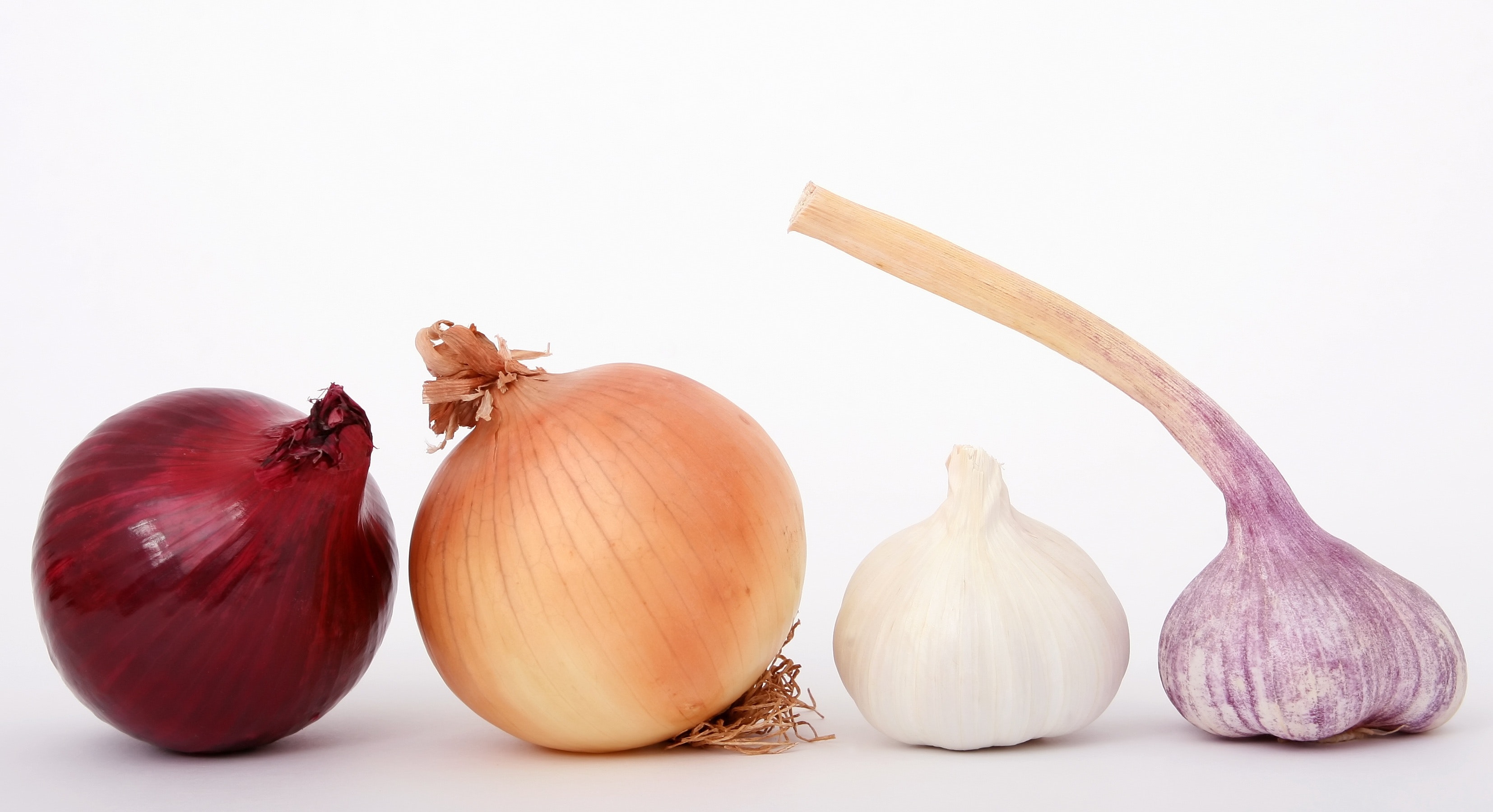 Red brown white and purple onions and garlic displayed photo