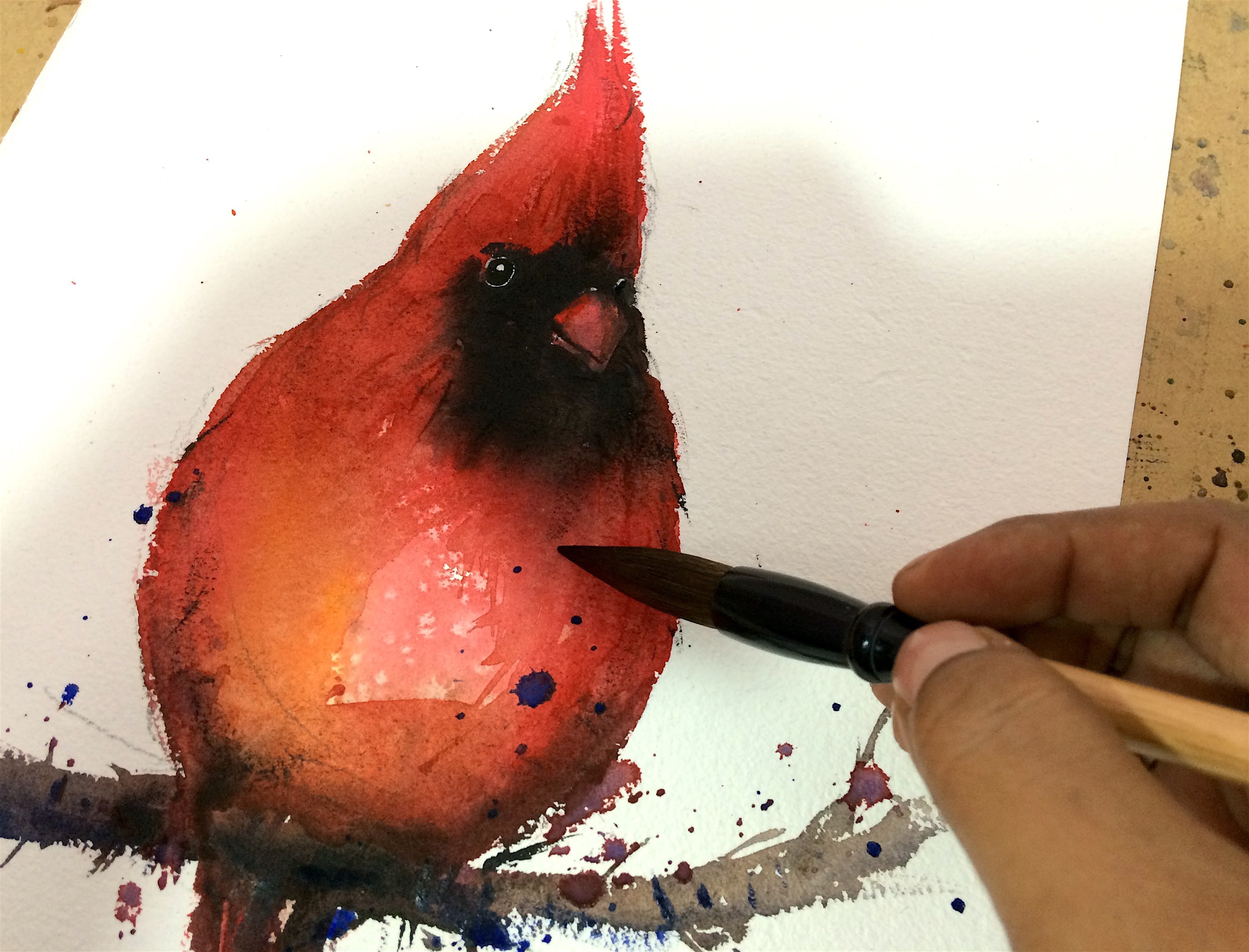 Paint a quick red cardinal in watercolors - YouTube