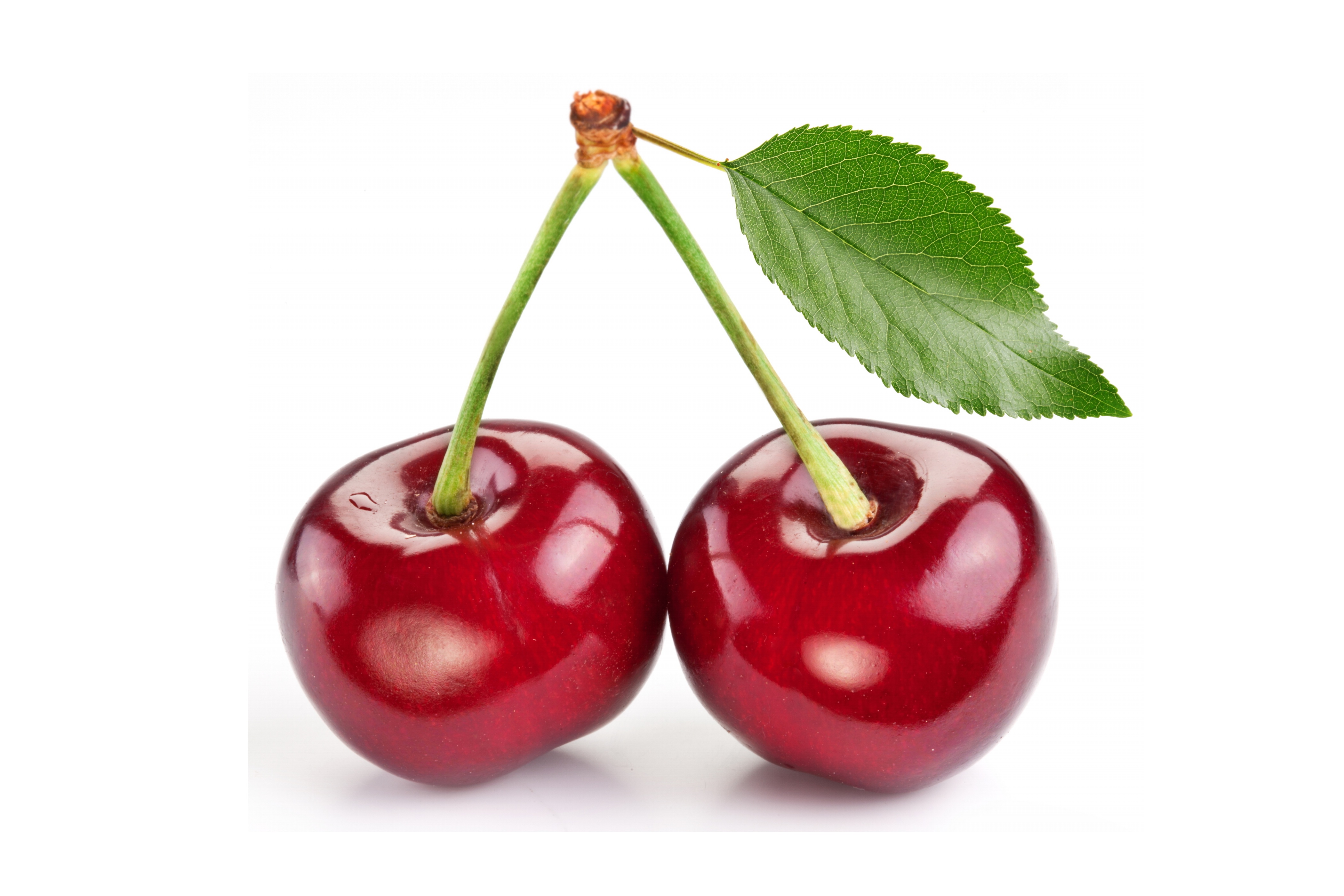 Red Fresh Cherries Isolated on White Background | Macro Photo and ...
