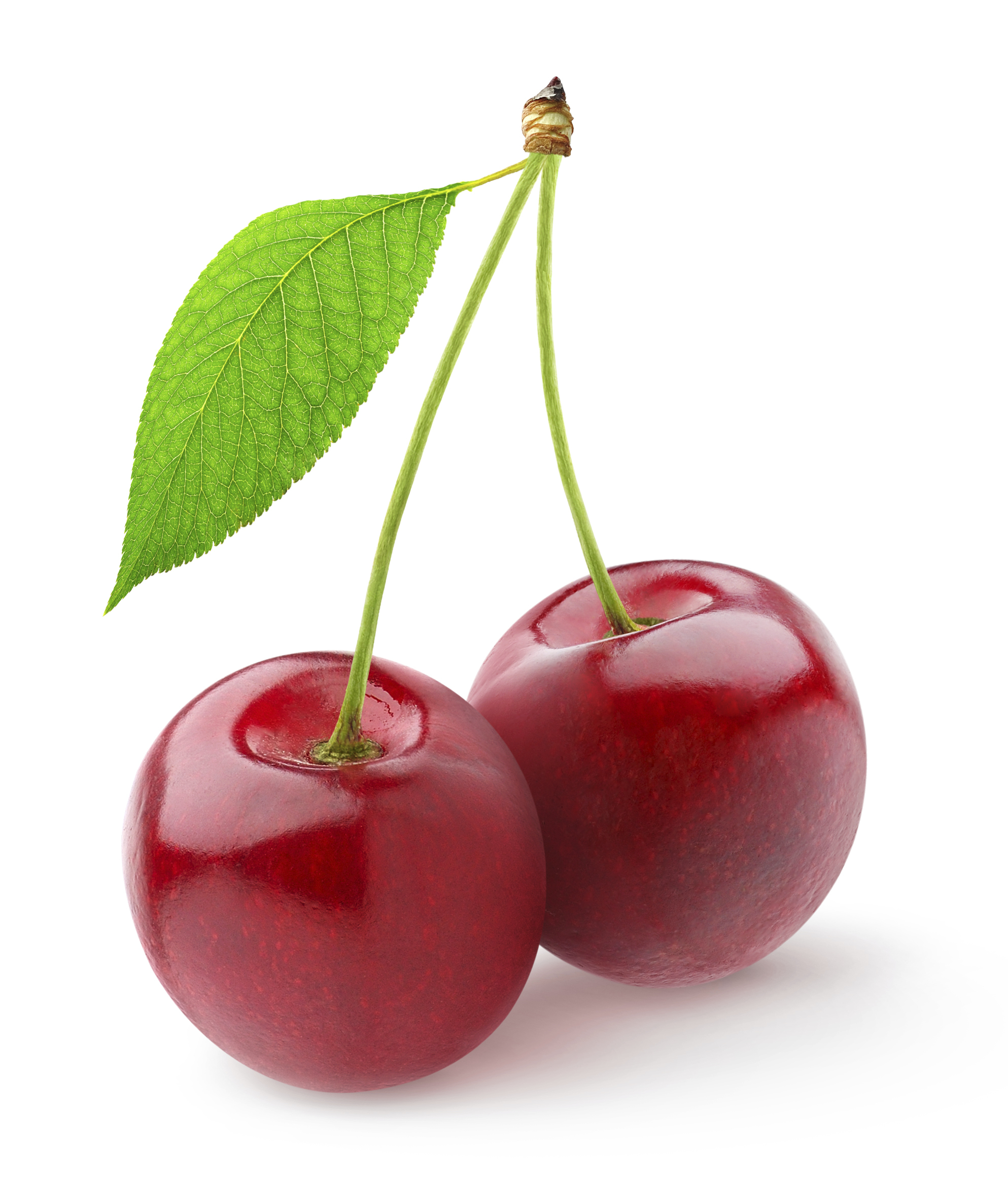 Red Pie Cherries - Bithell Farms