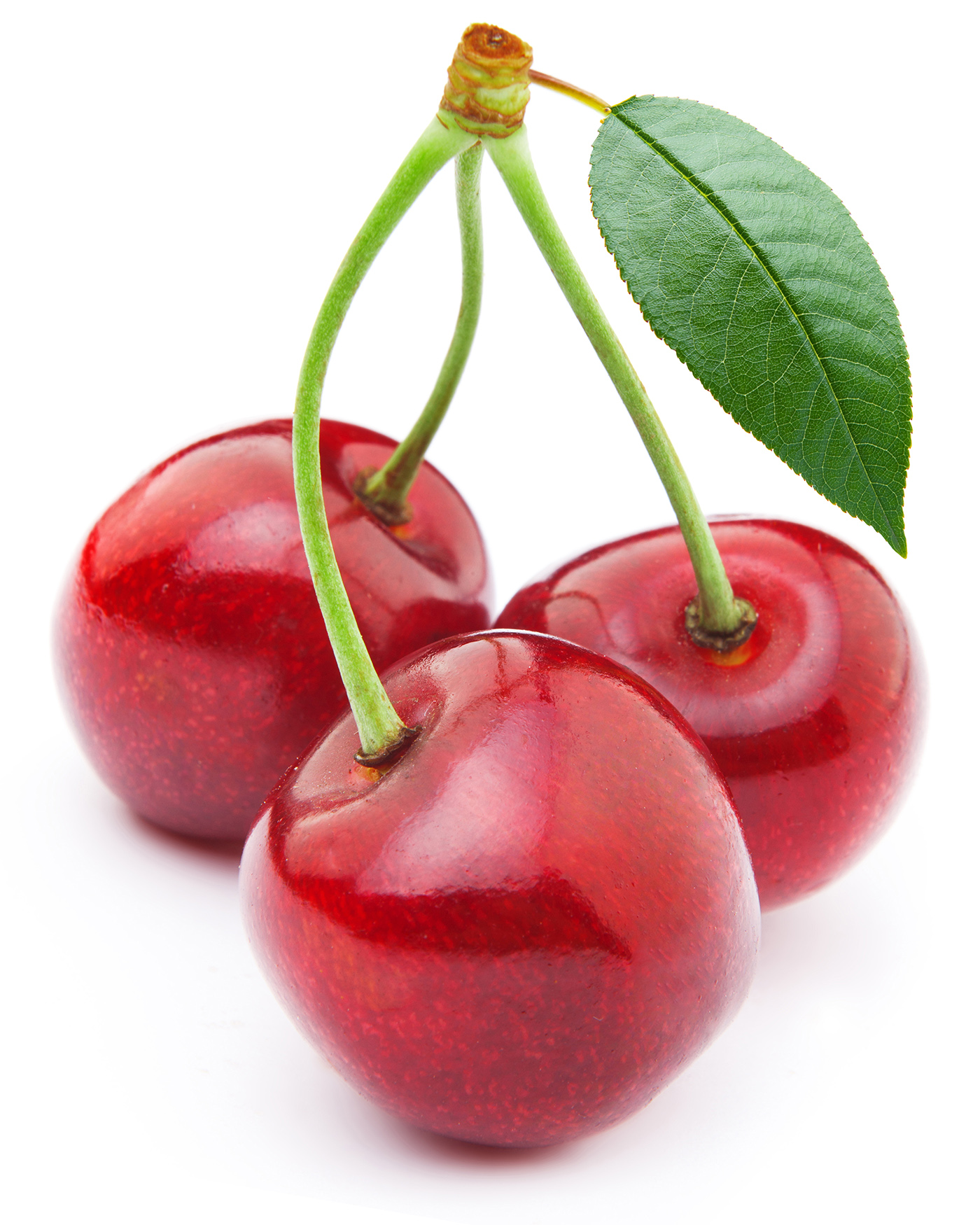 Red Cherry 50697 - Cherry Grape - Harvest season