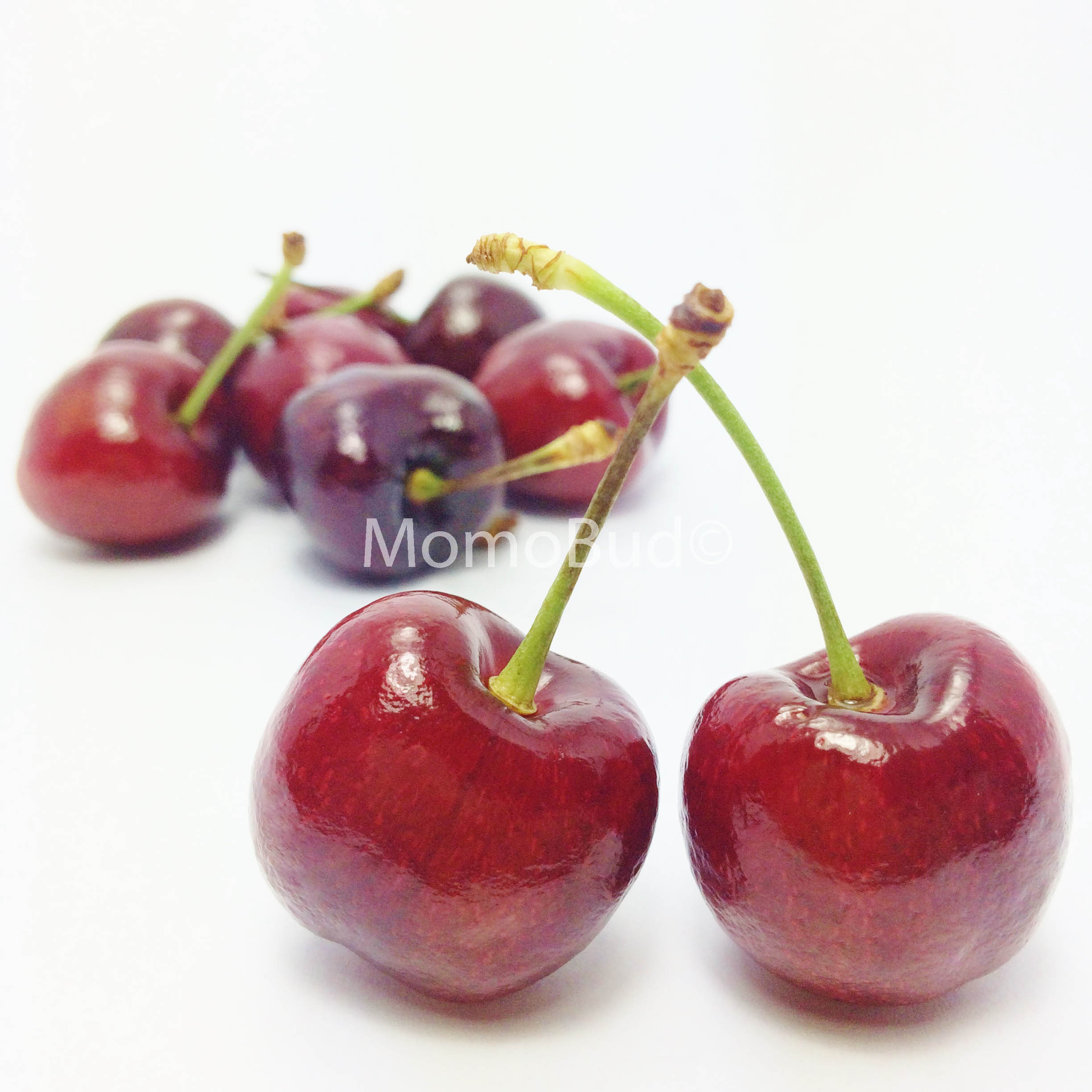 Turkish Red Cherry — MomoBud