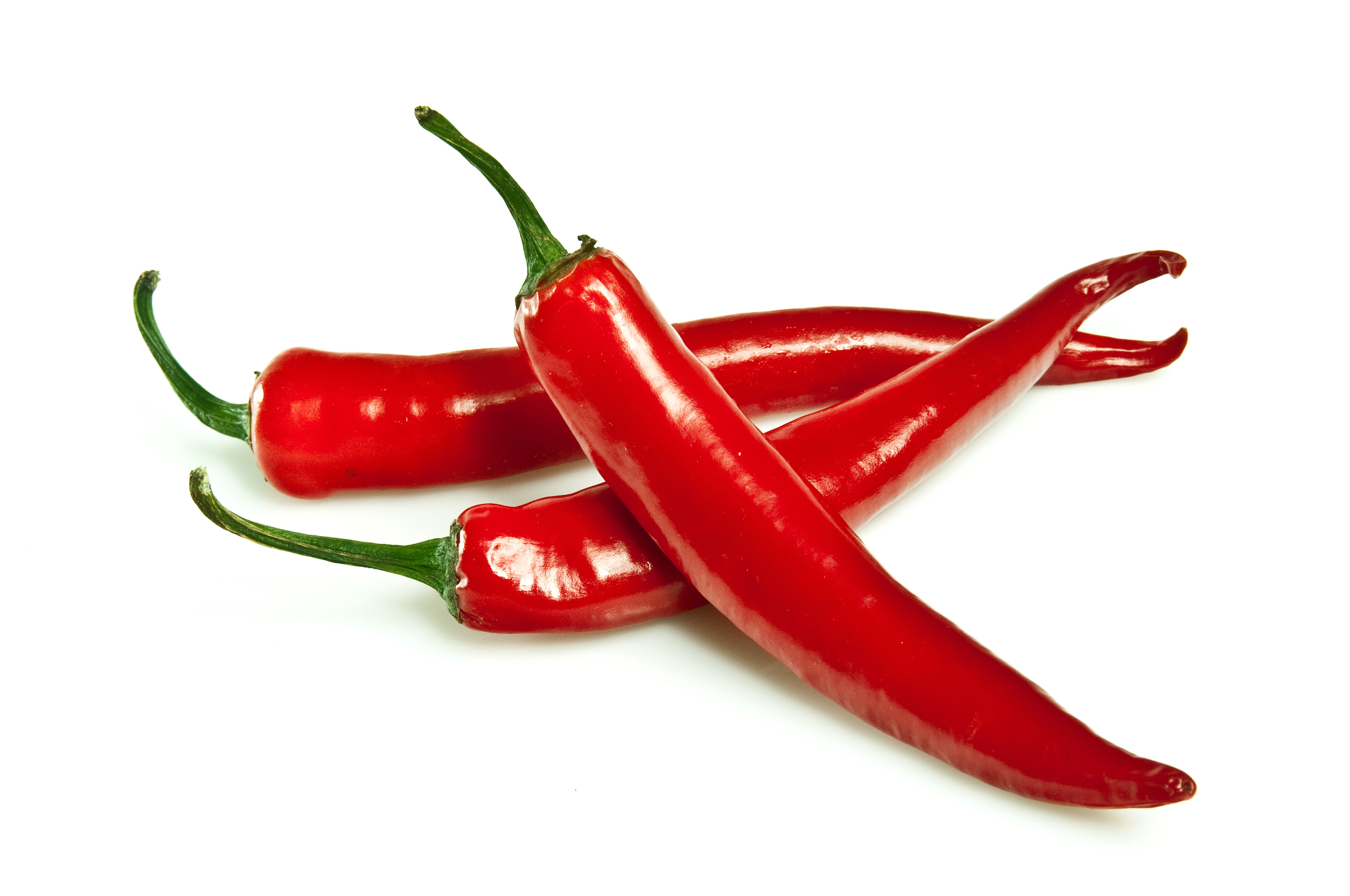 Free photo: Red Chilli - Chilli, Chilly, Food - Free Download - Jooinn