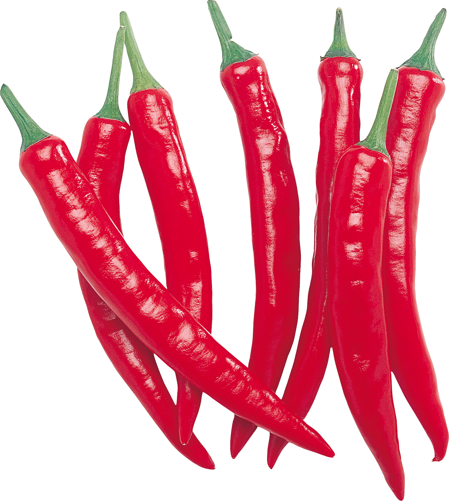 Red Chilli Pepper Row transparent PNG - StickPNG