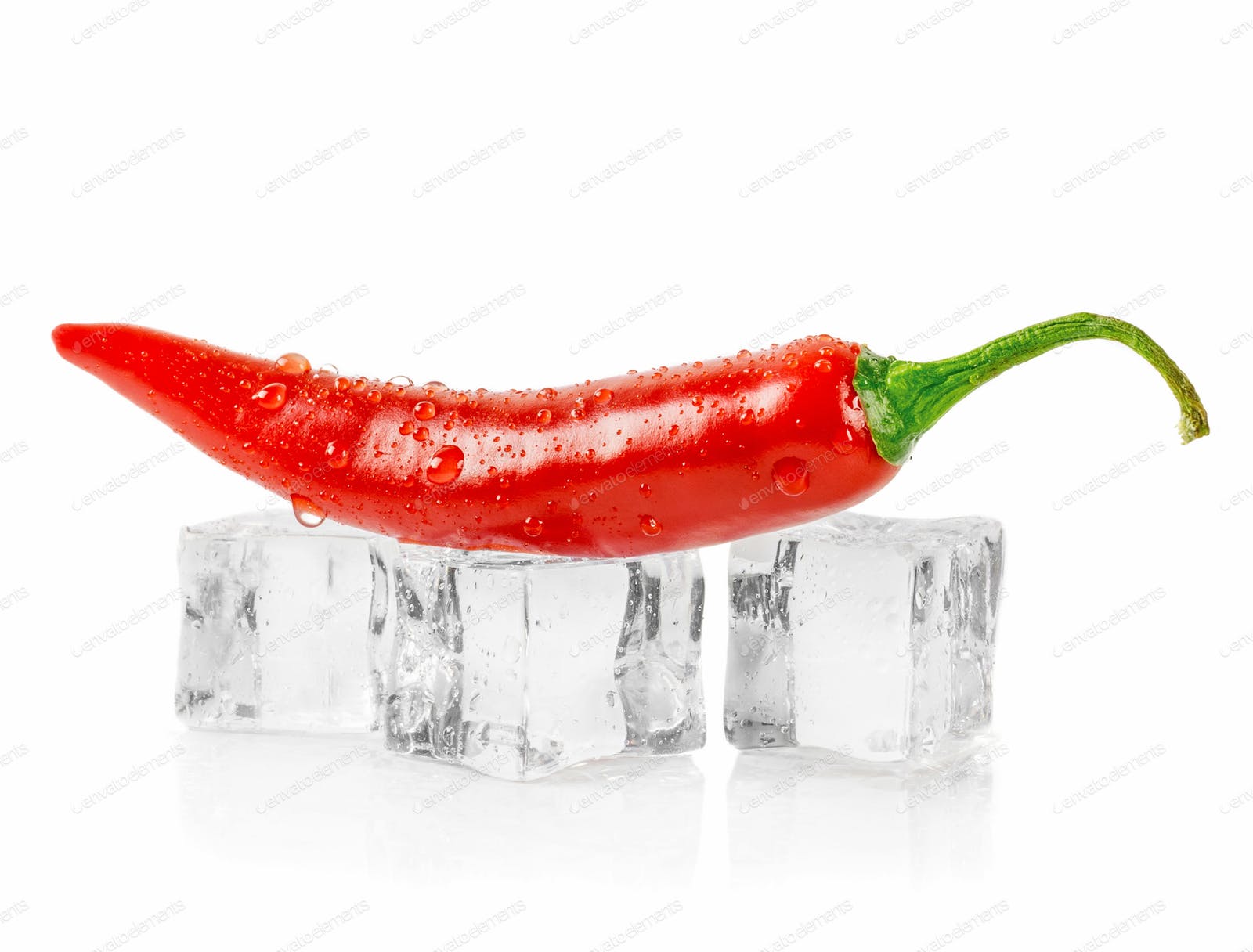 A red chili pepper lying on ice cubes photo by gcpics on Envato Elements