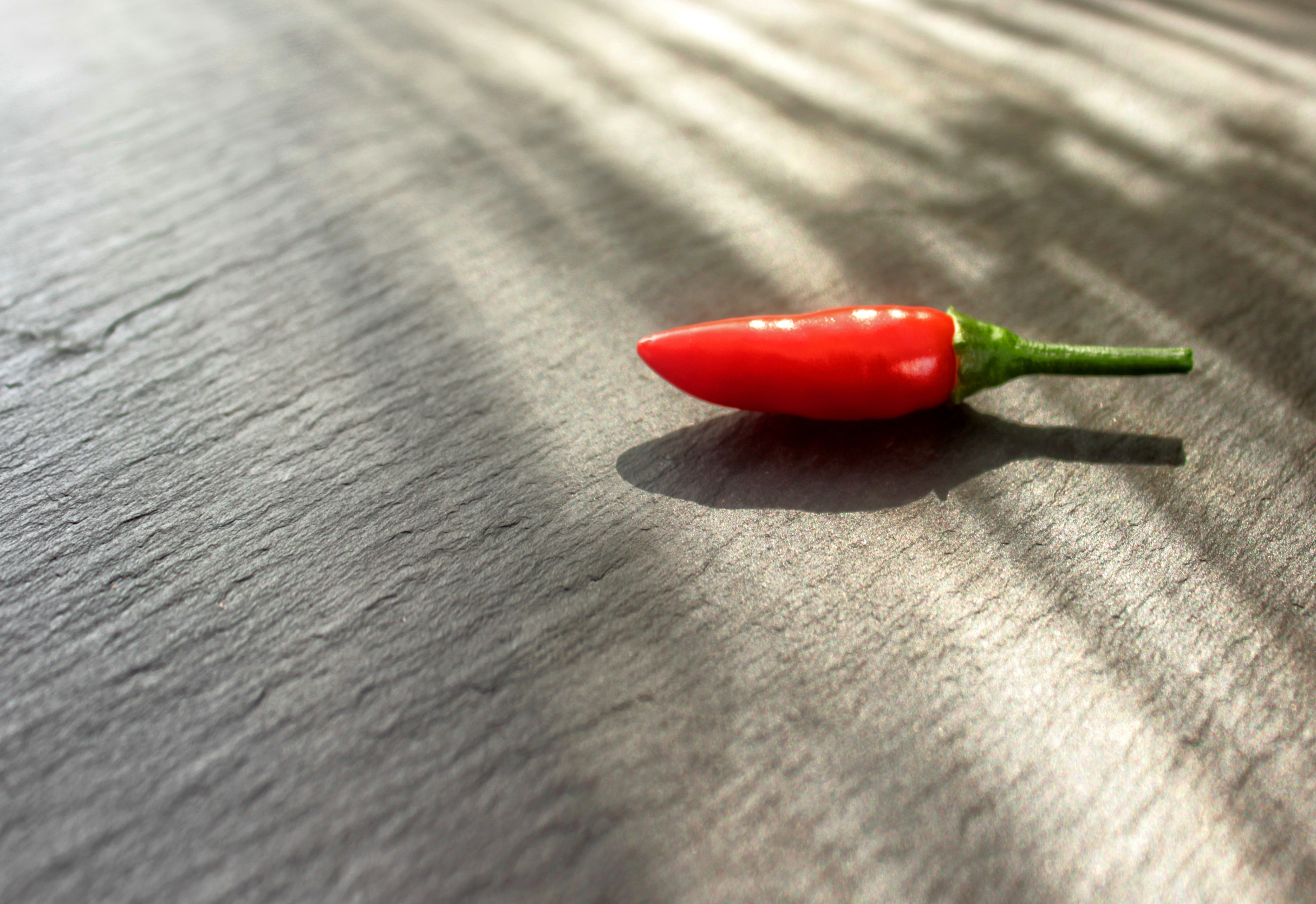 Red chilli pepper isolated on stone background photo