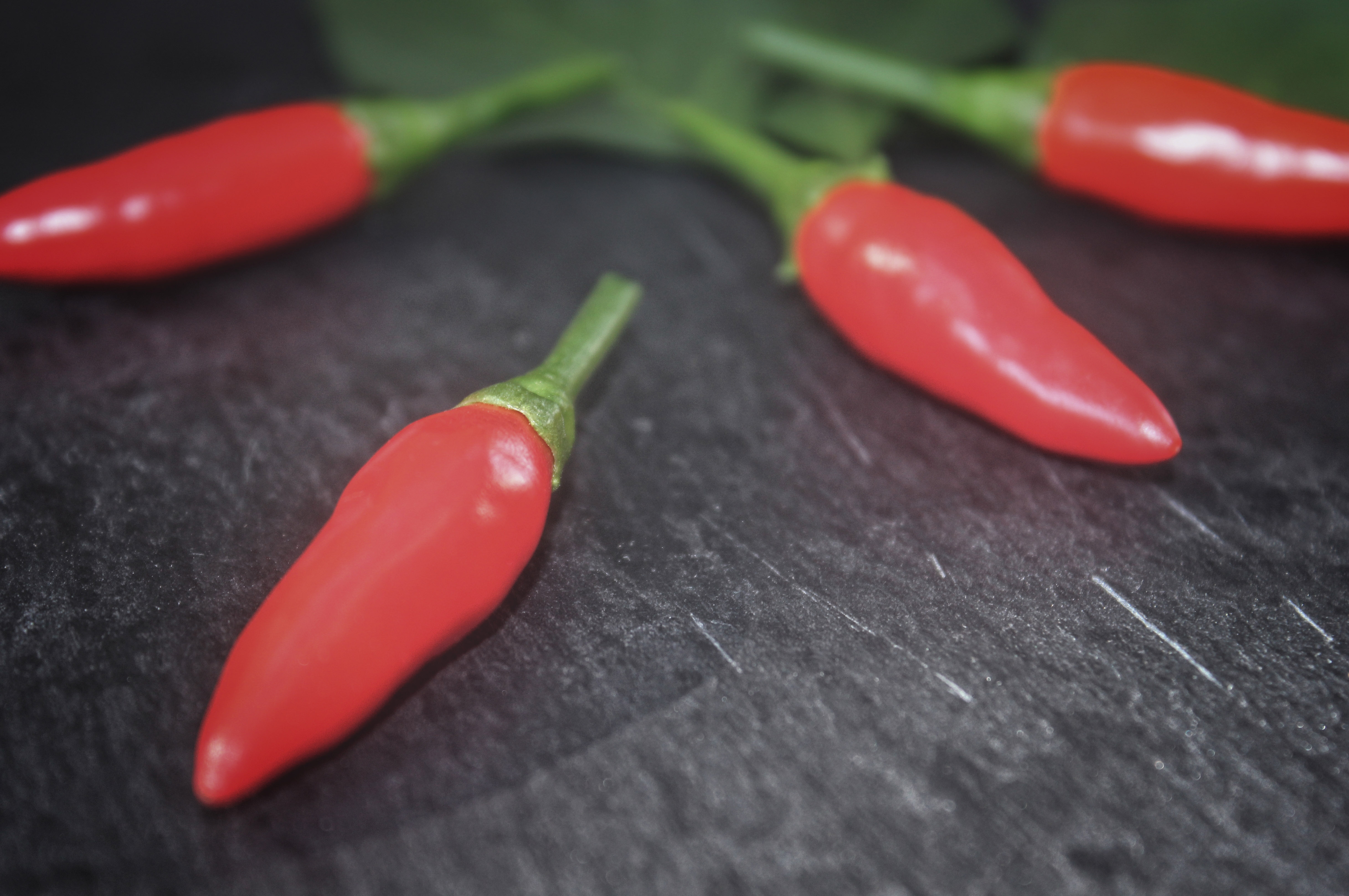 Red chilli peppers - close-up photo