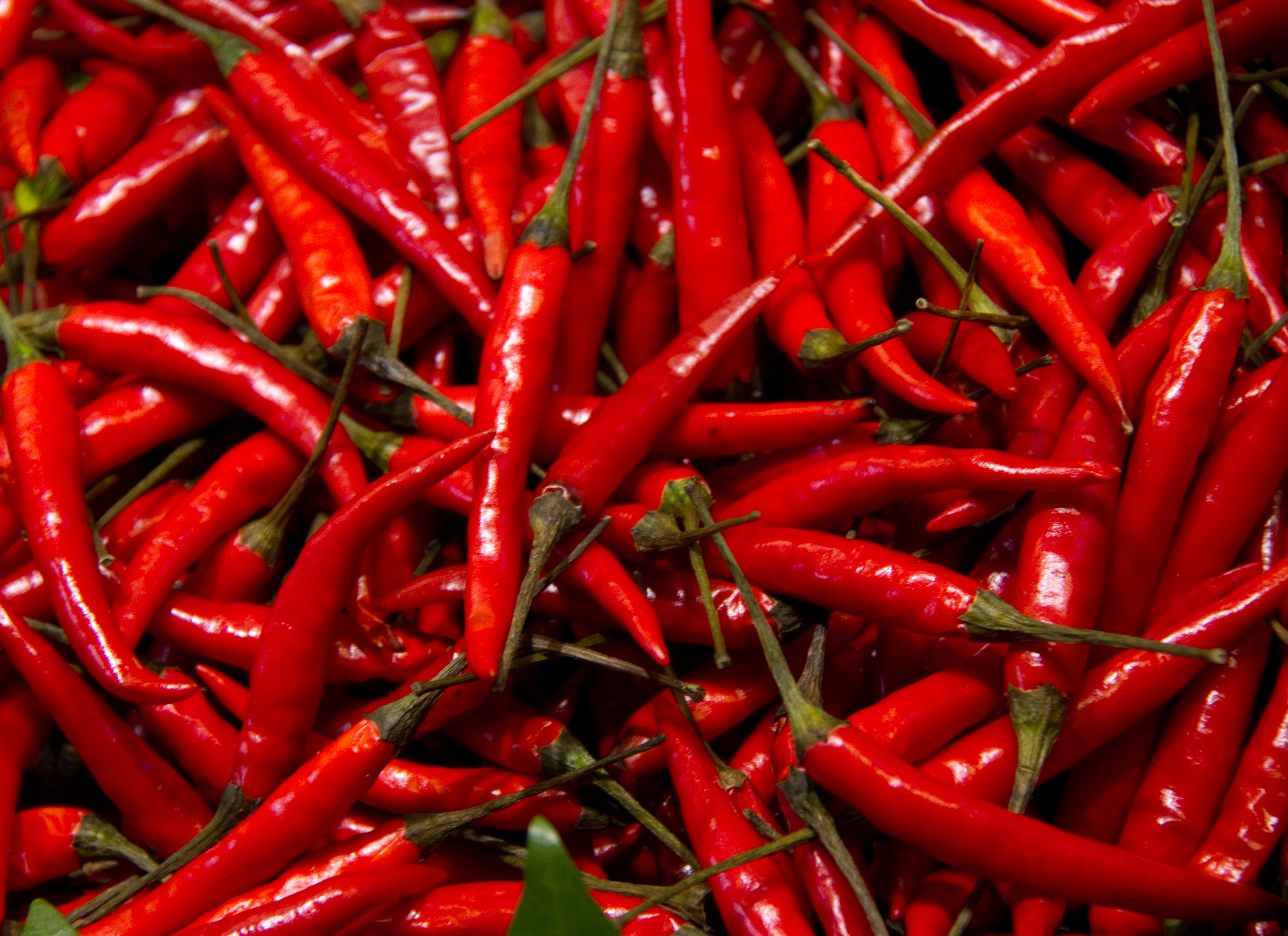 File:Red Chillies (5836682235).jpg - Wikimedia Commons