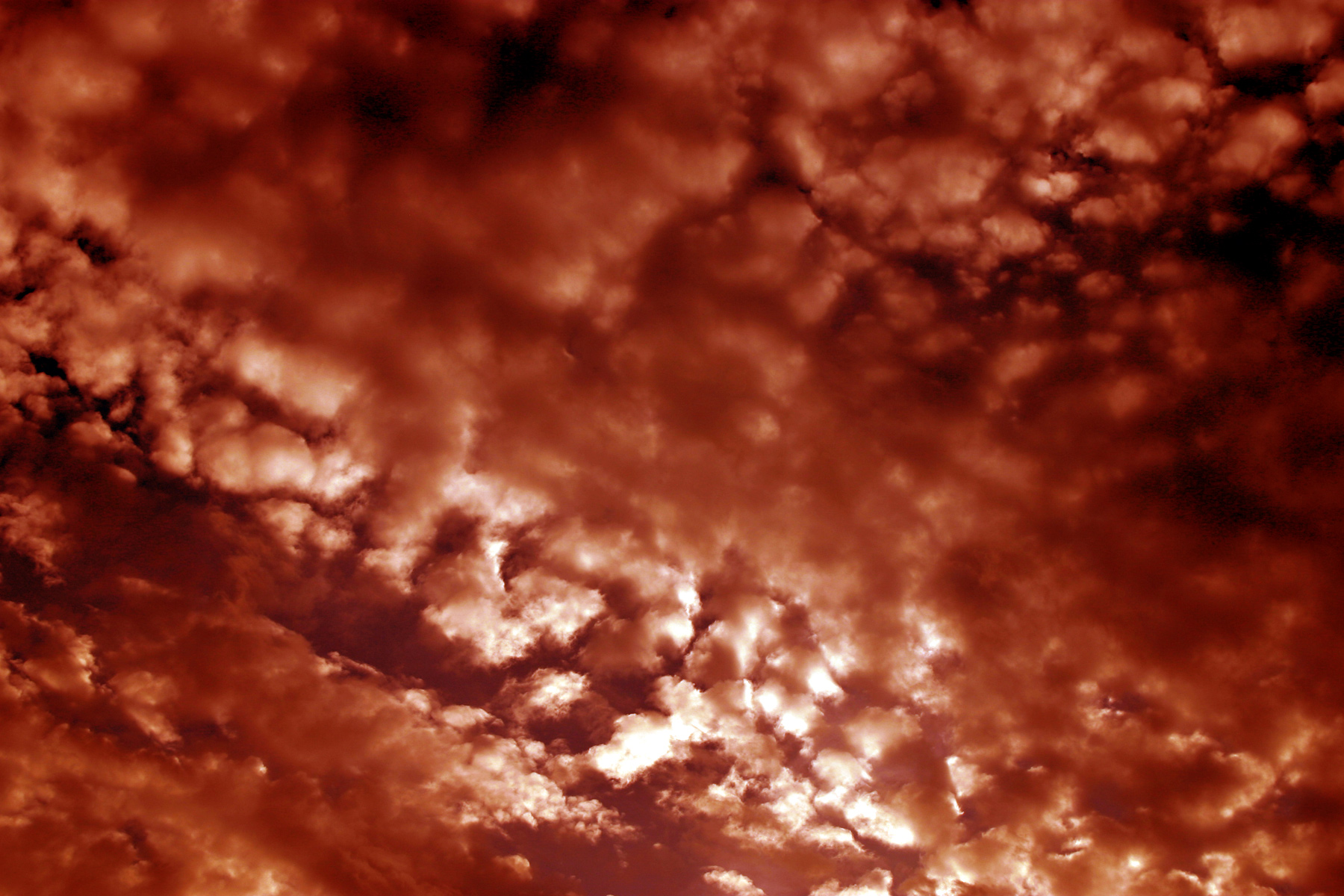 Red clouds photo