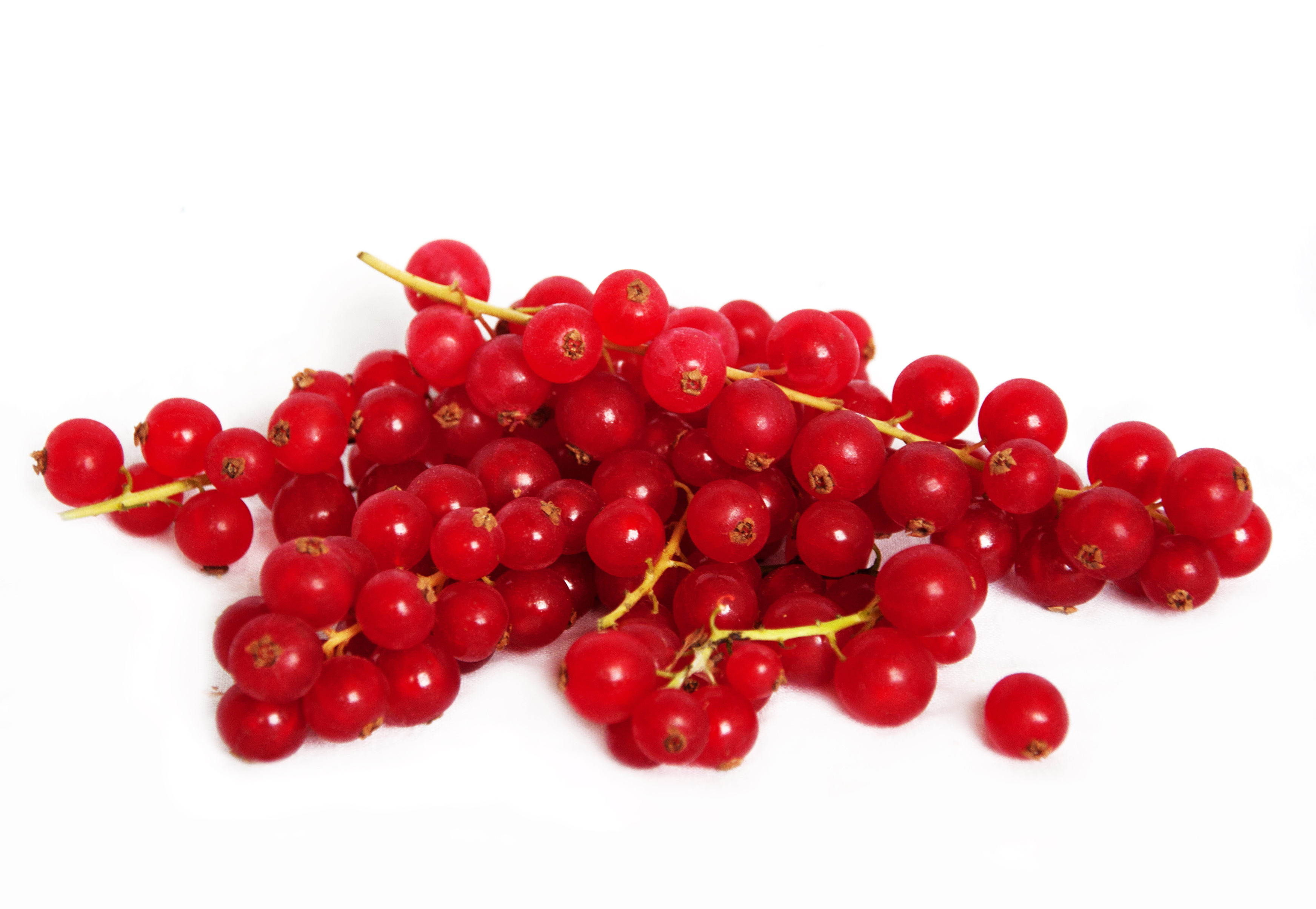Red currant photo